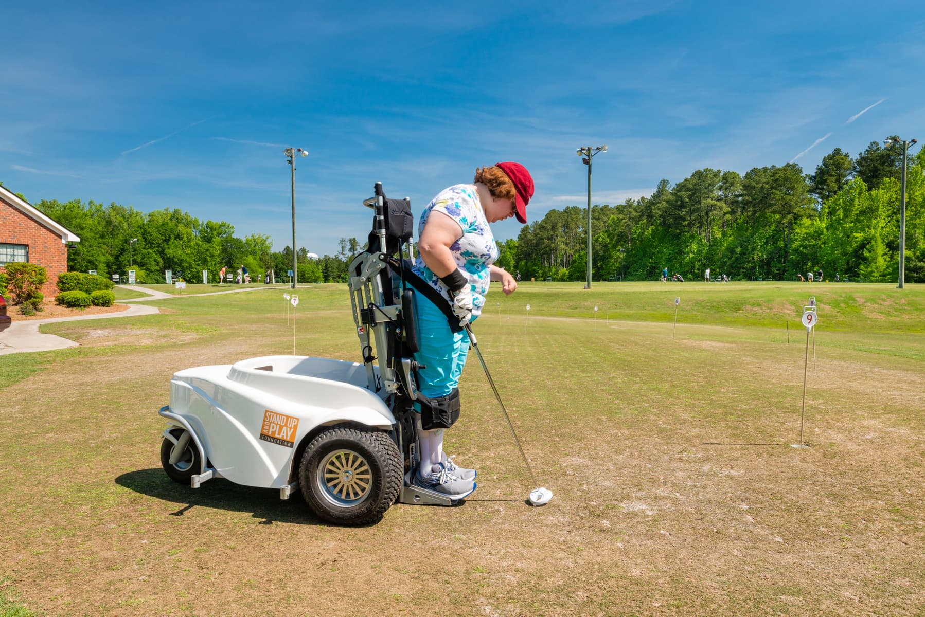 Wedges and Woods - Image 9