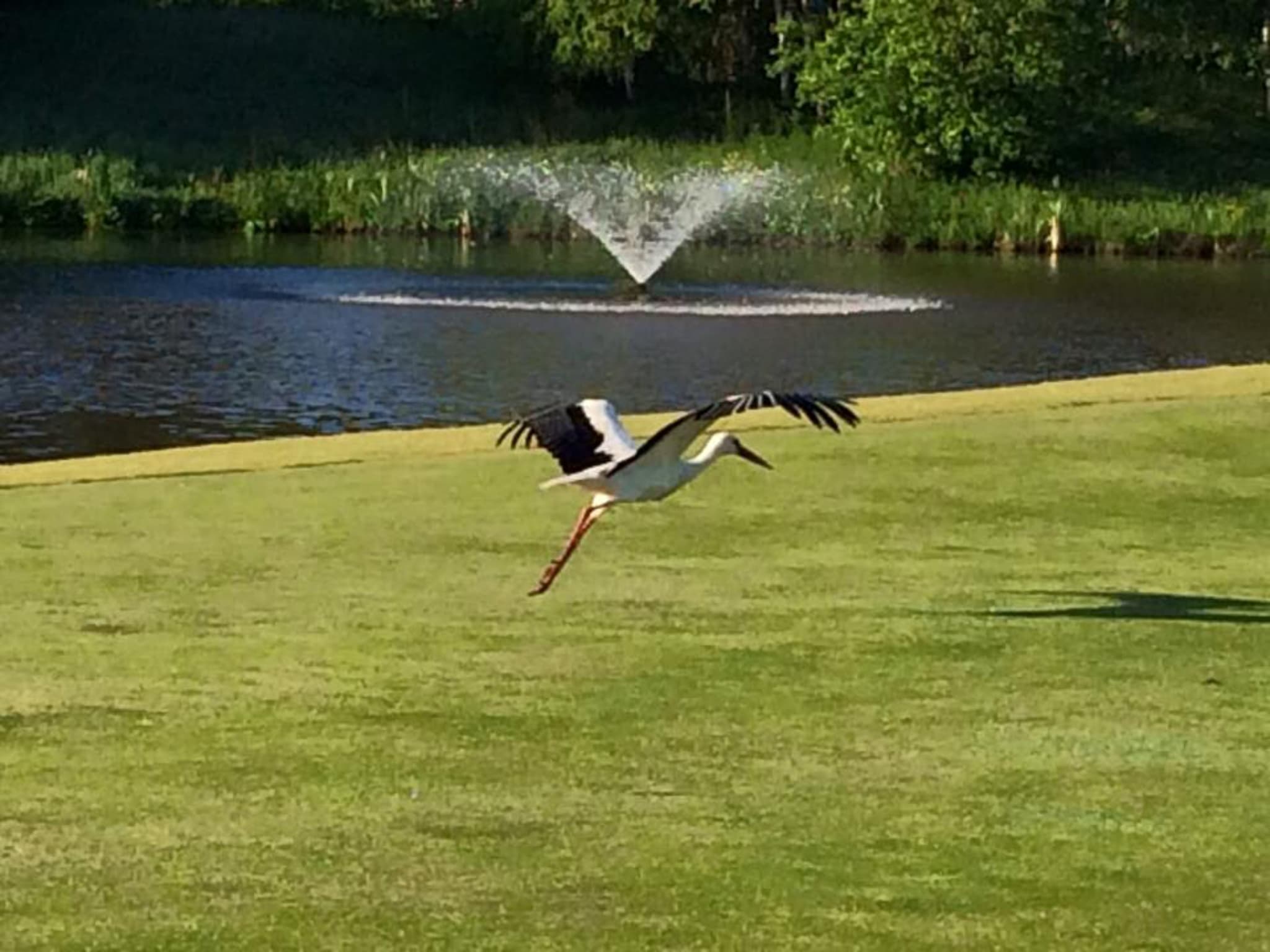 Golfsociëteit Lage Vuursche - Image 5