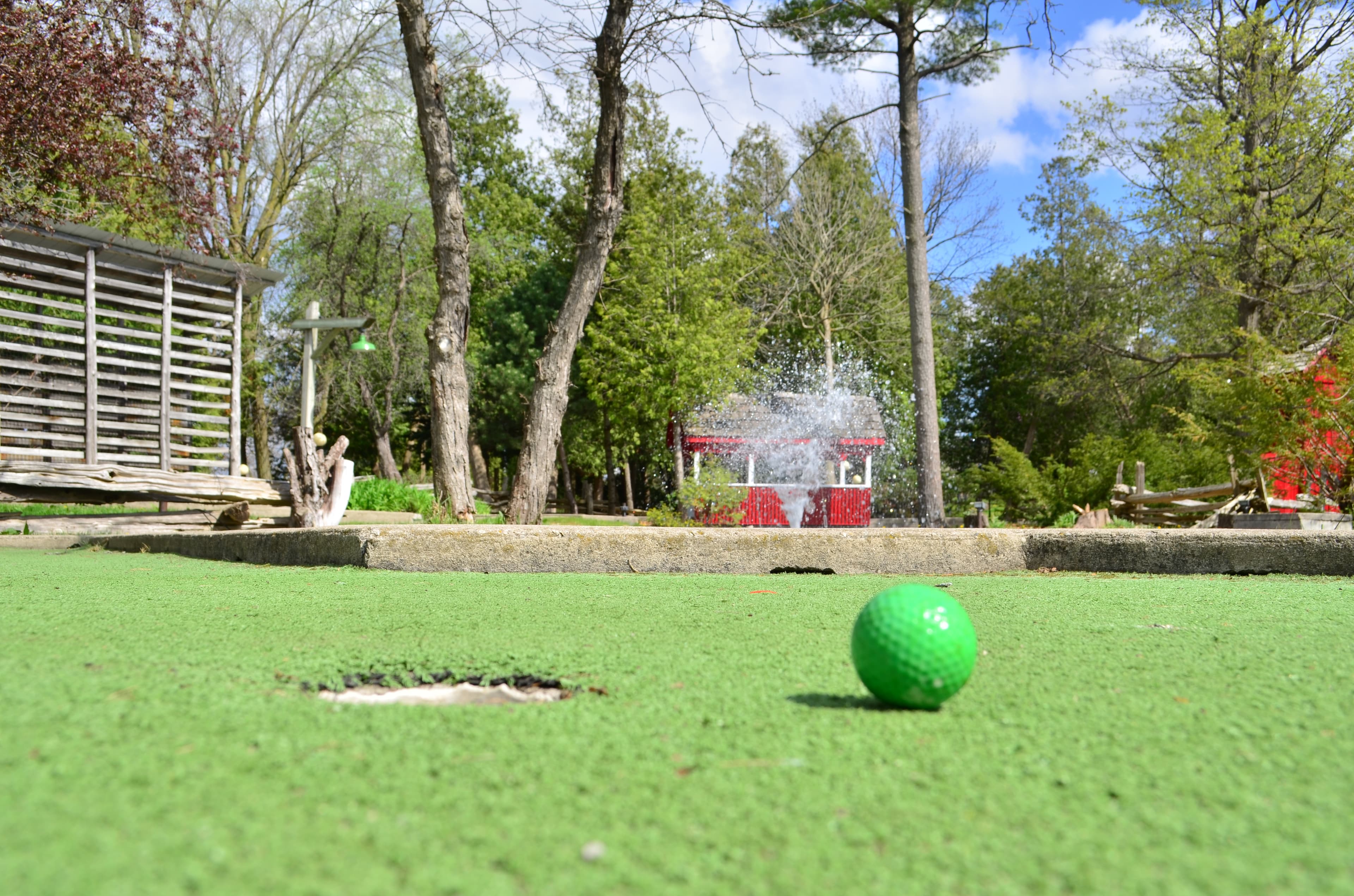 Hole-in-Fun Mini Golf - Image 2