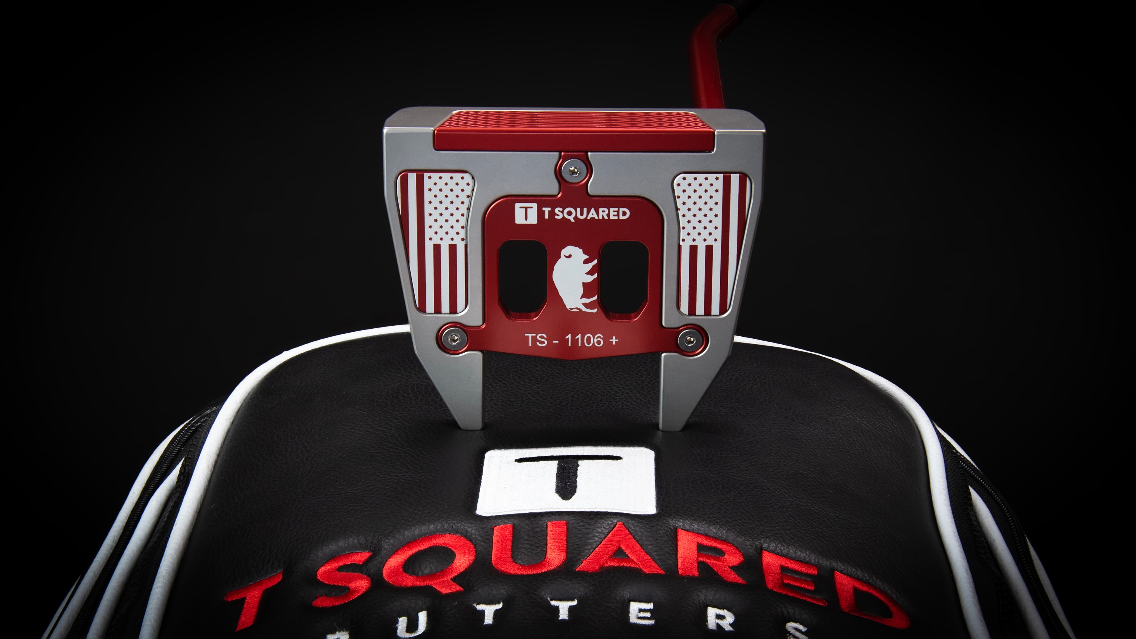 T Squared Putters - Image 4