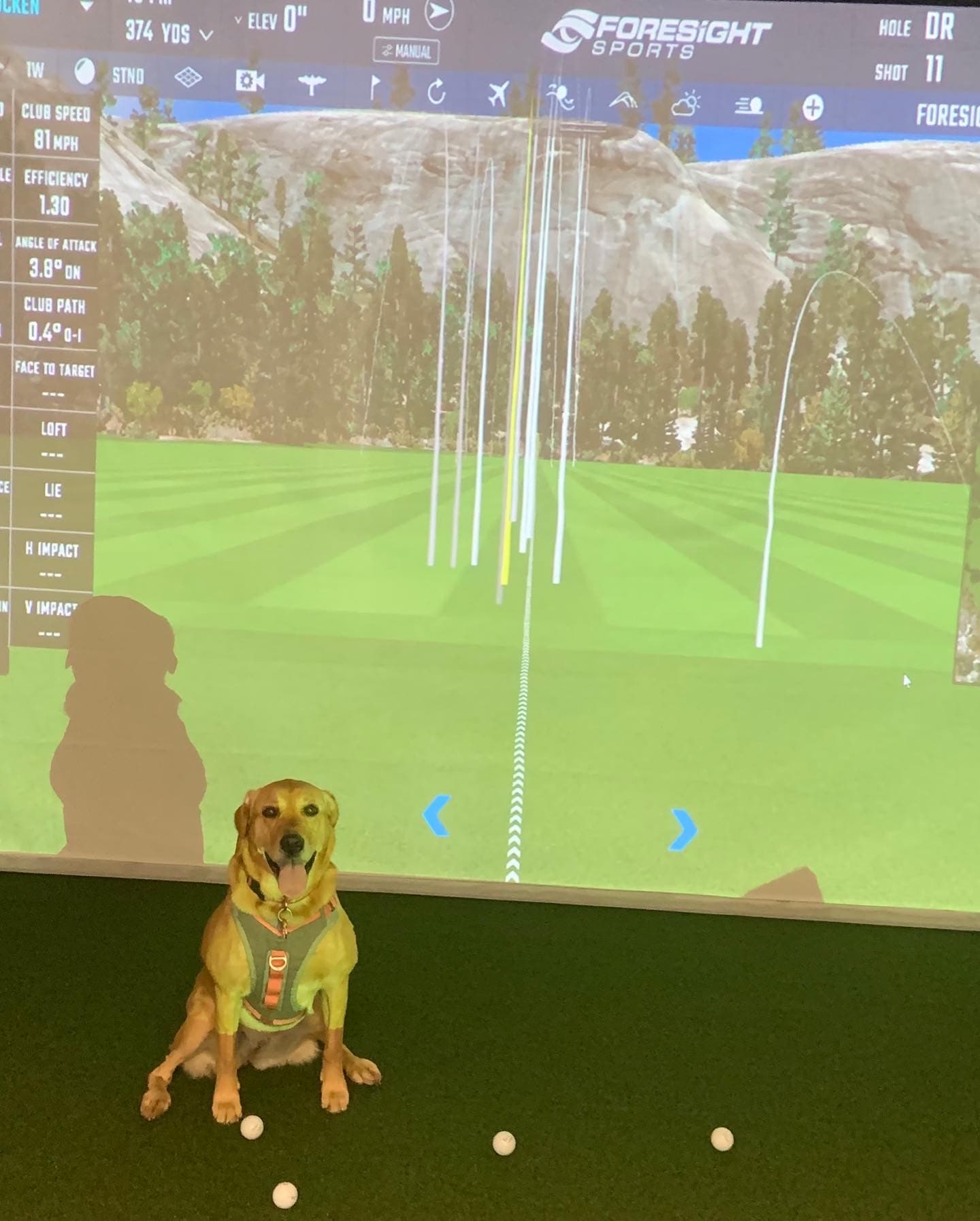 Golf Lab - Image 2