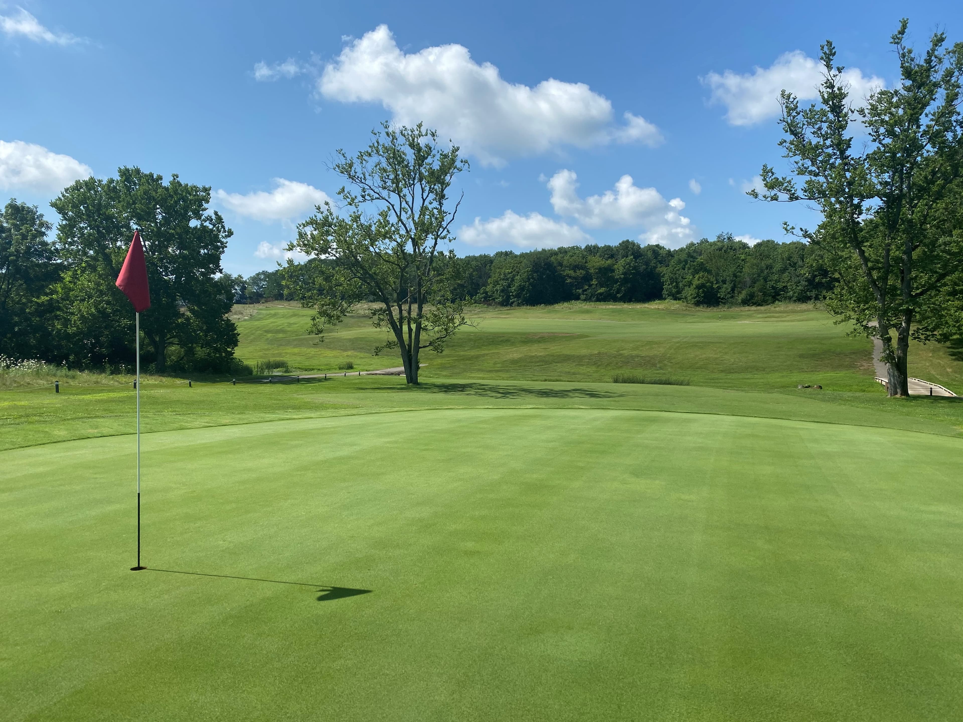 Thoroughbred Golf Club - Image 6