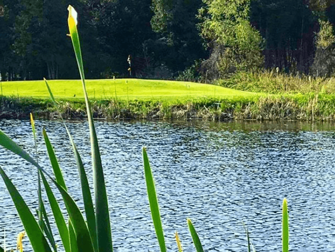 Landings Of Willow Creek Golf Course - Image 9