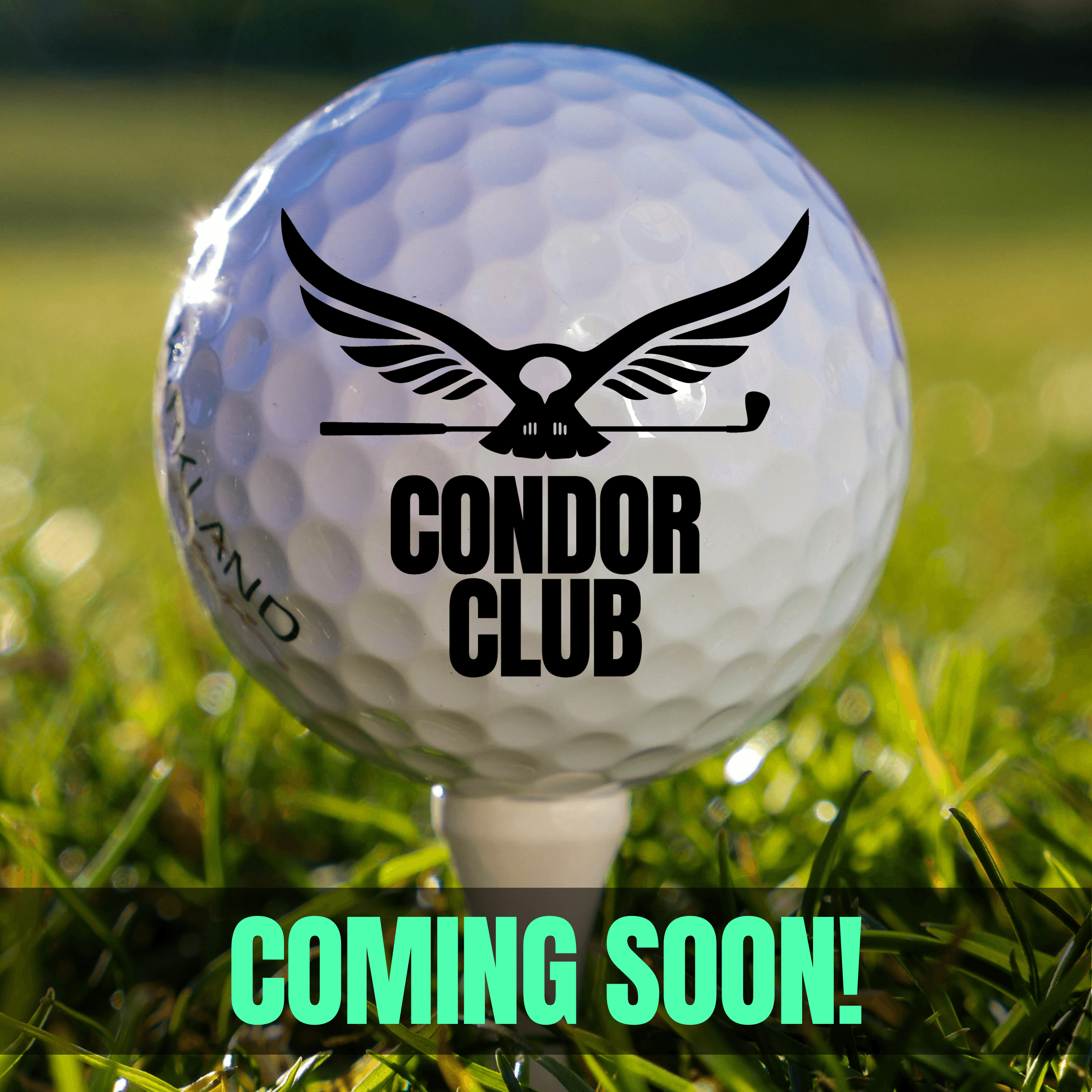 Condor Club 24/7 Indoor Golf Lounge - Image 10
