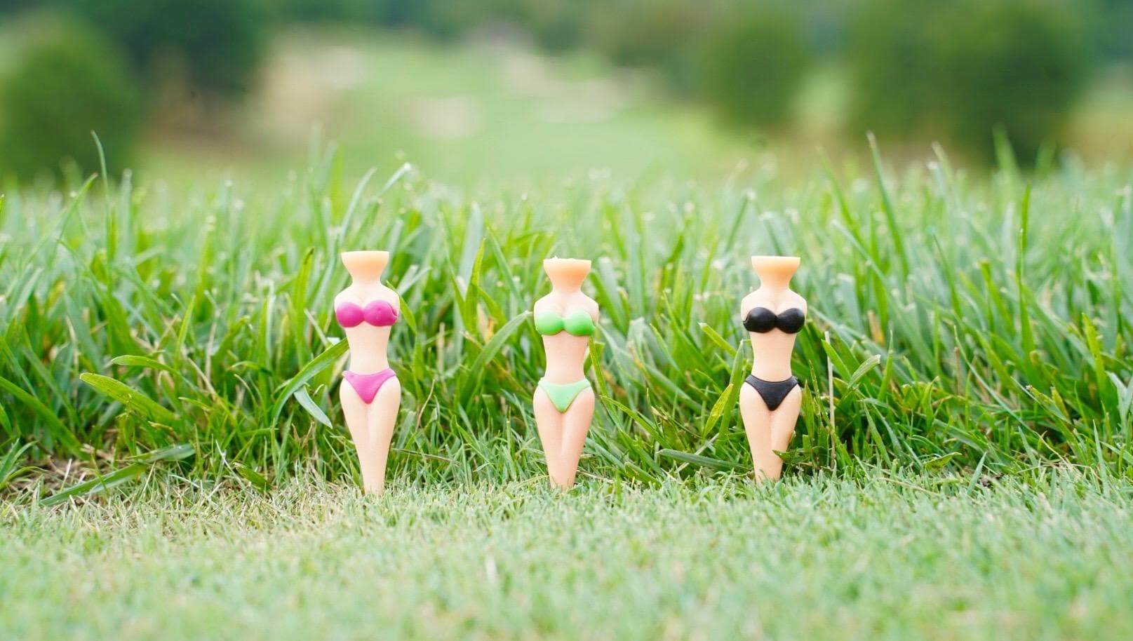 NeedlemanProGolf - Image 6