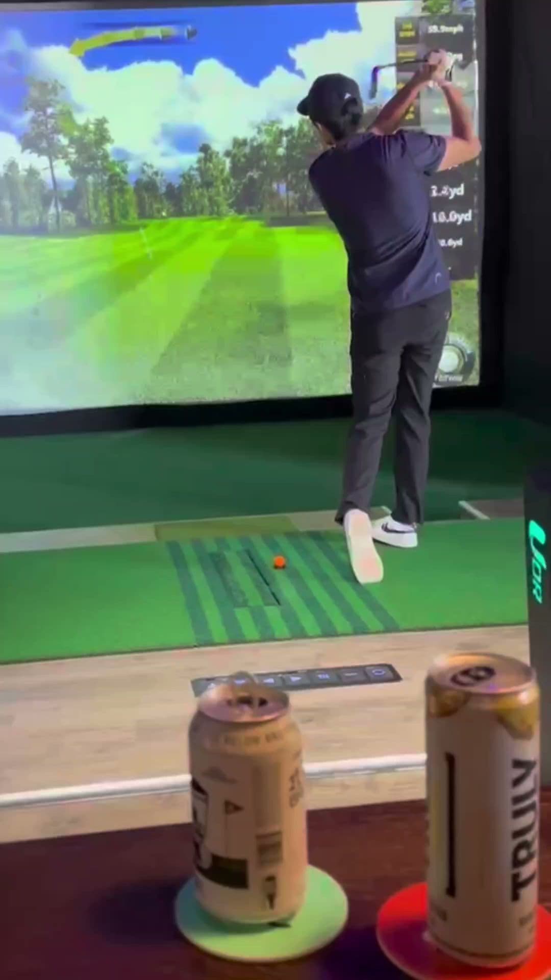 Nice Birdie - Image 2