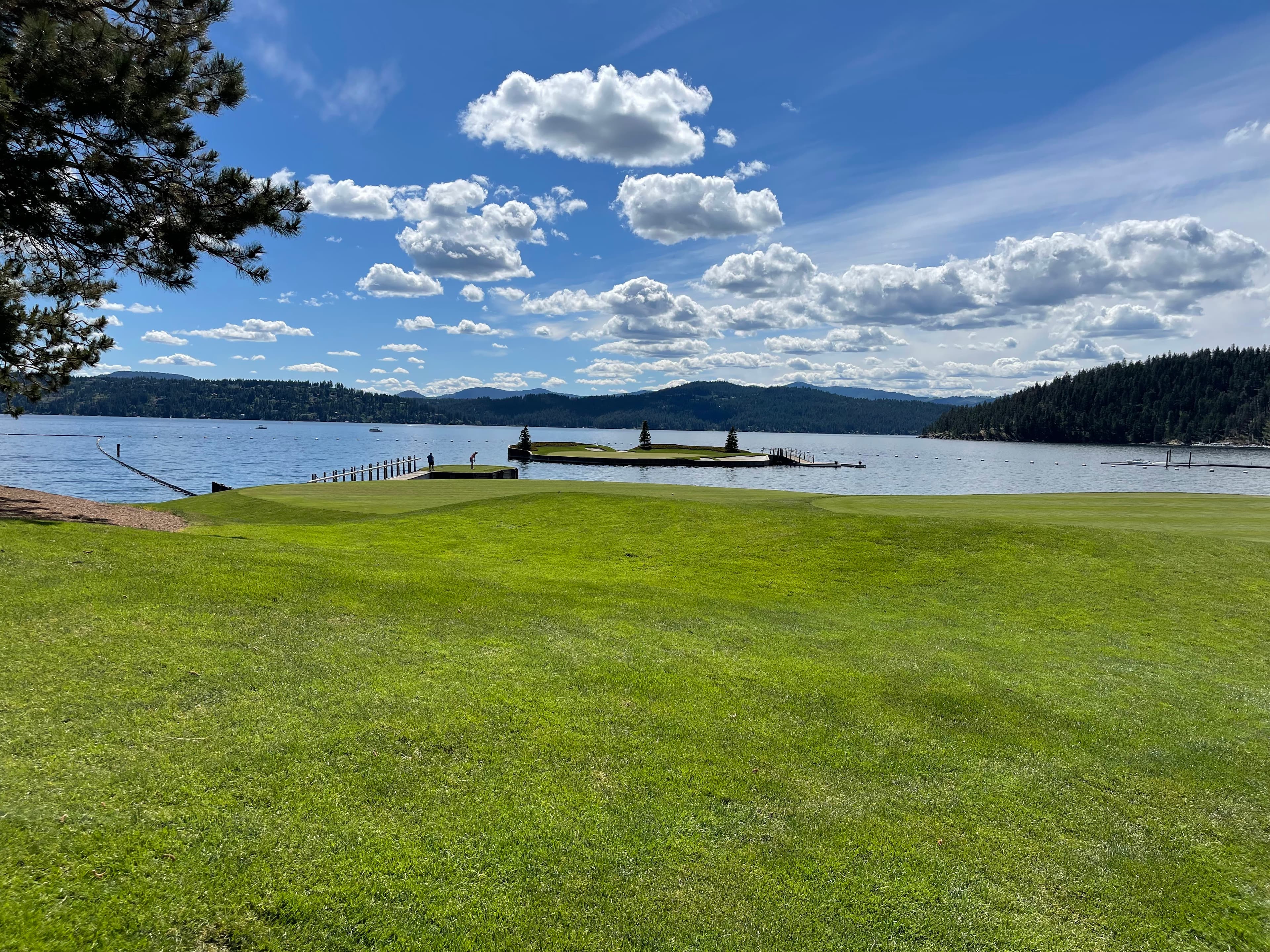 Jim Brooks Custom Golf Club and Club Repairs - Image 3