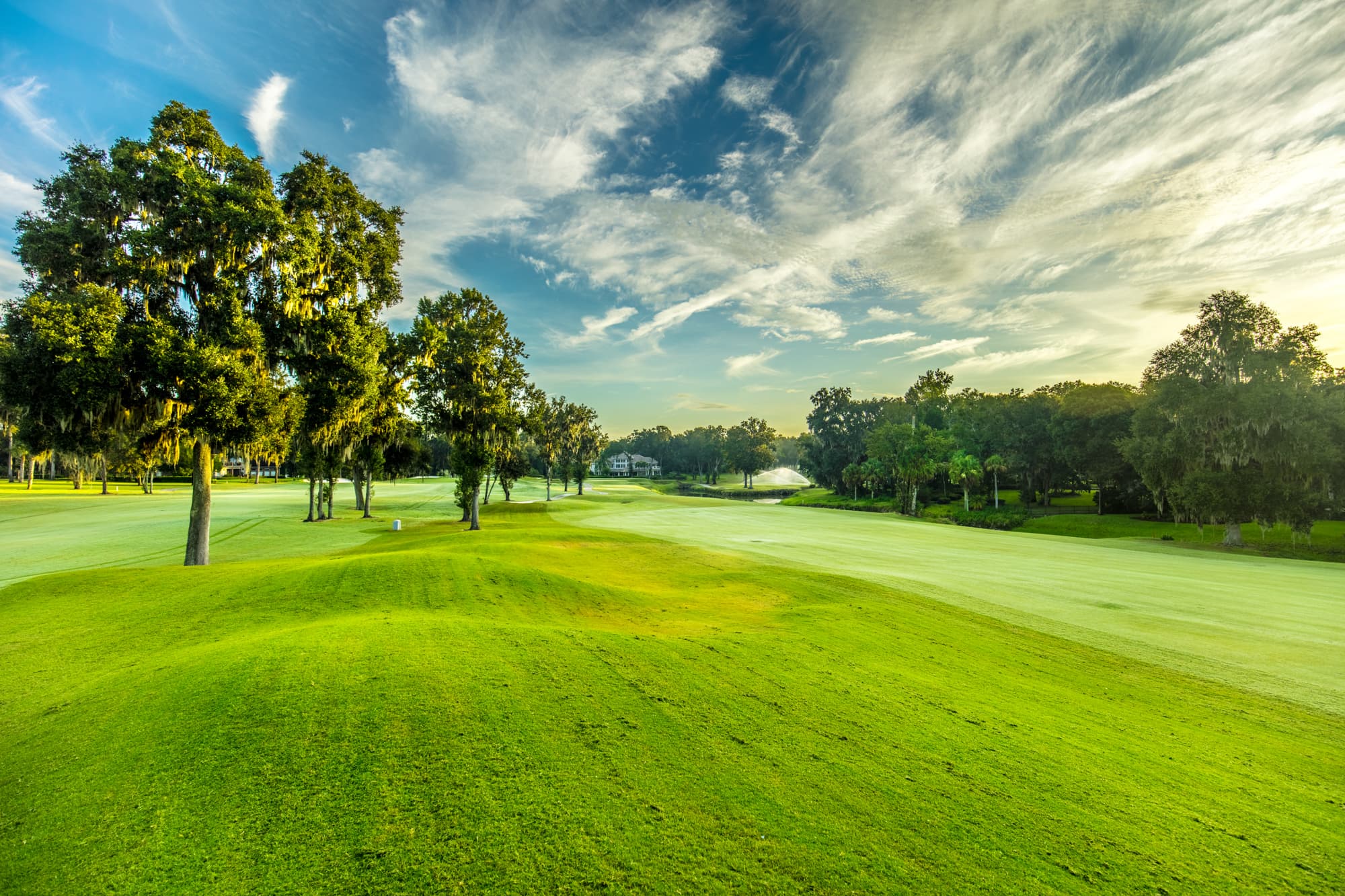 Country Club of Ocala - Image 5