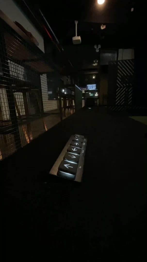 The Blue Duck - Image 2