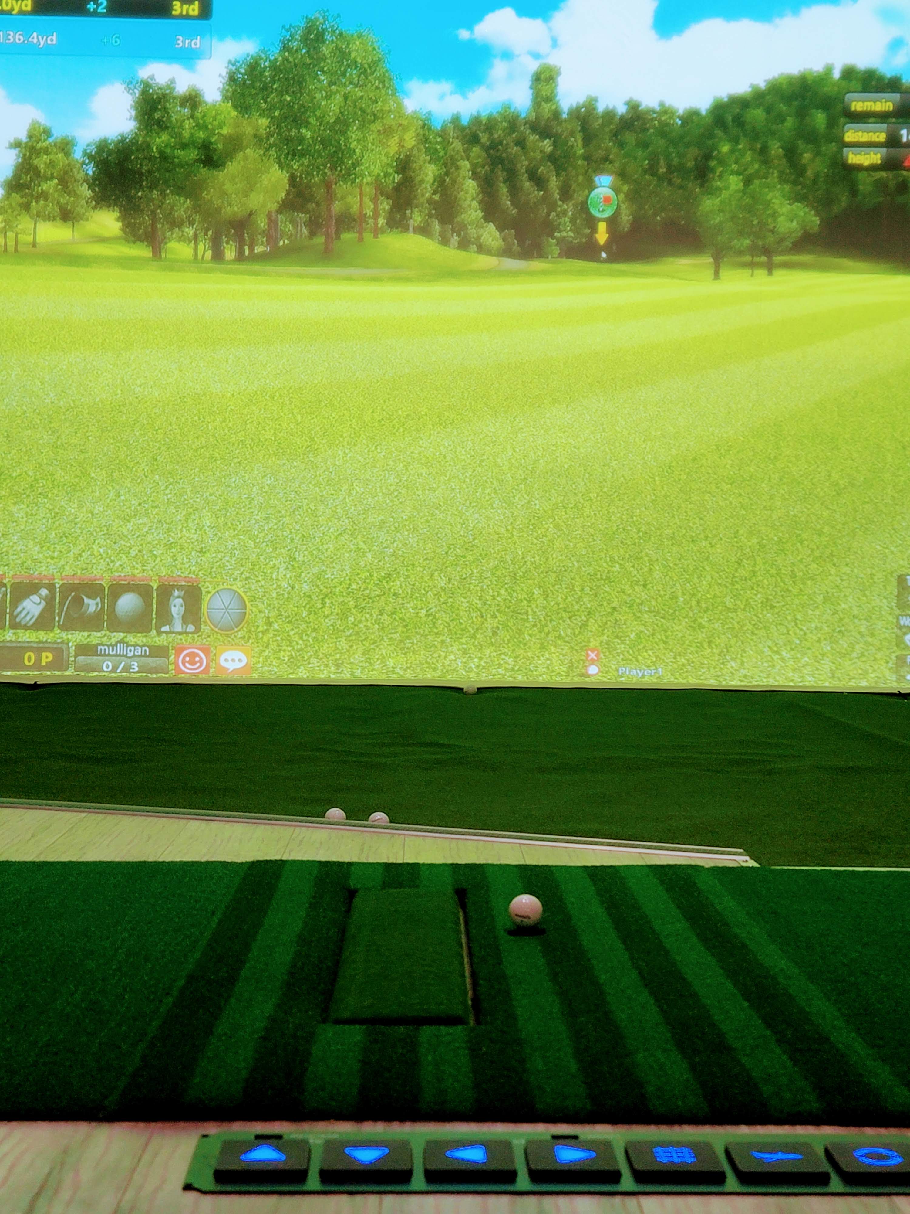 UDR Indoor Golf - Royal Oak - Image 7