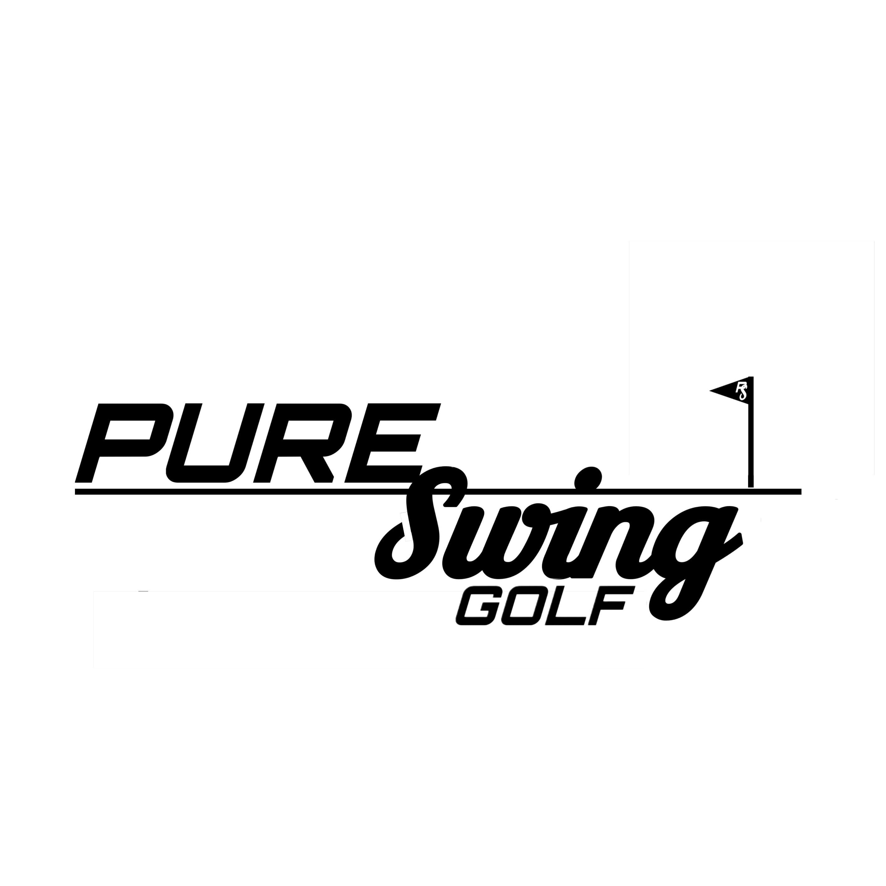 Pure Swing - Image 3