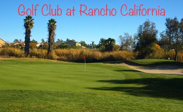 All Fore One Golf Club - Image 4