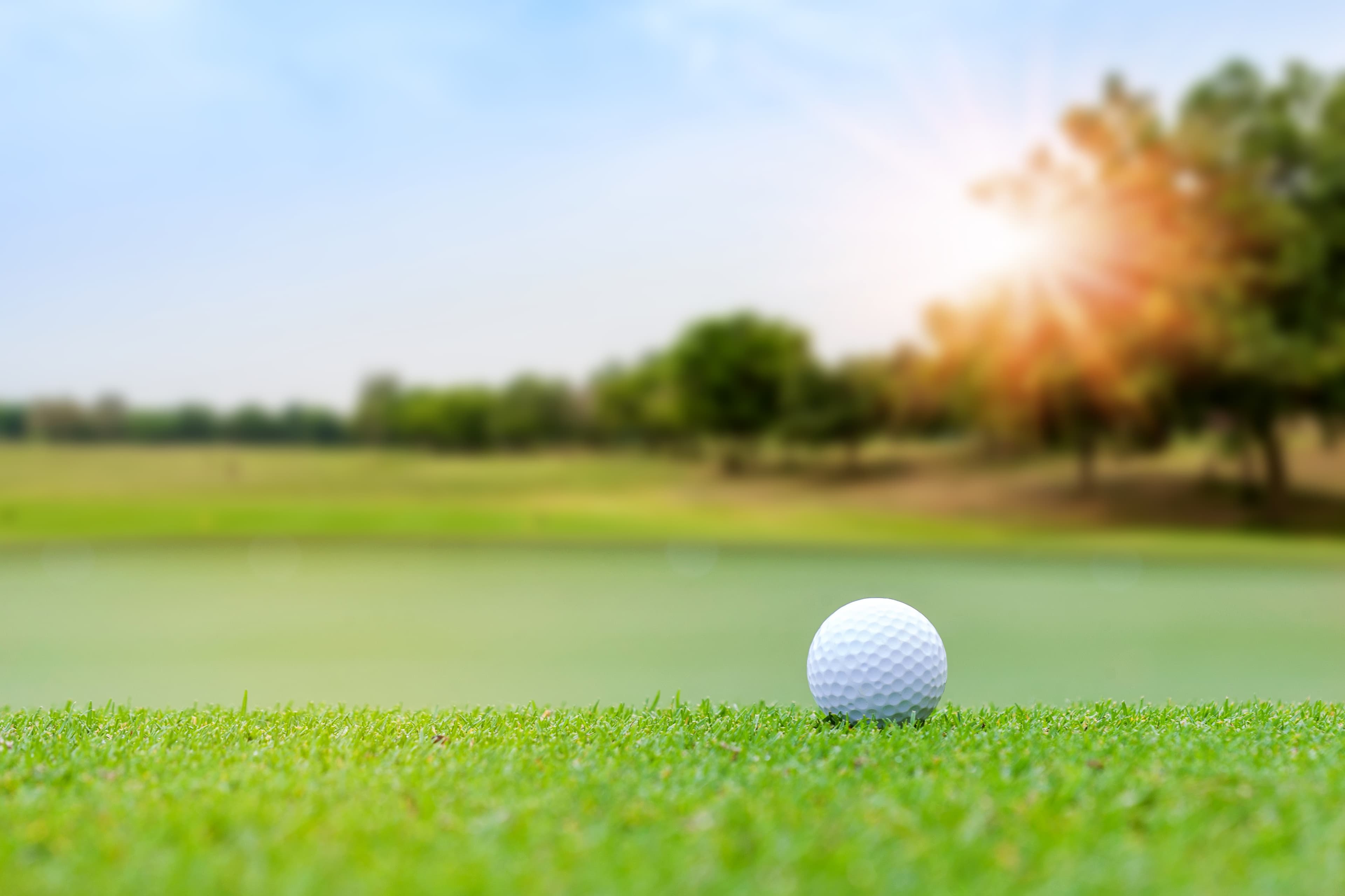 Bogeys Golf Simulator - Image 1