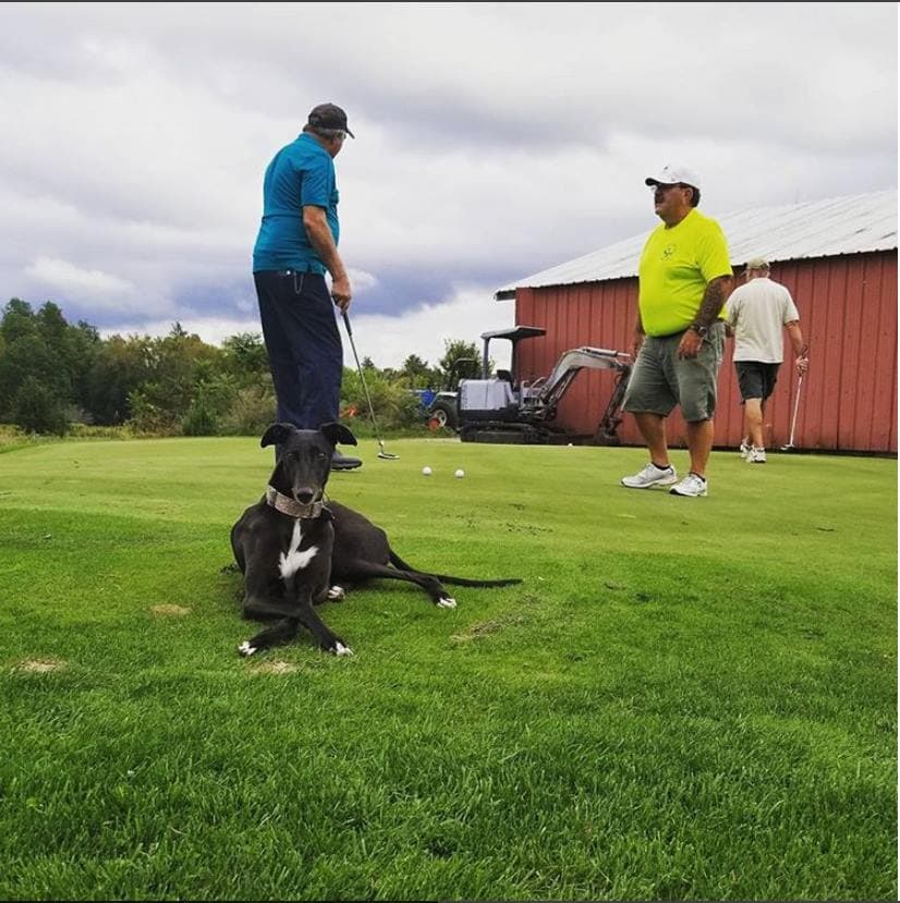 Milestone Golf Course - Image 3