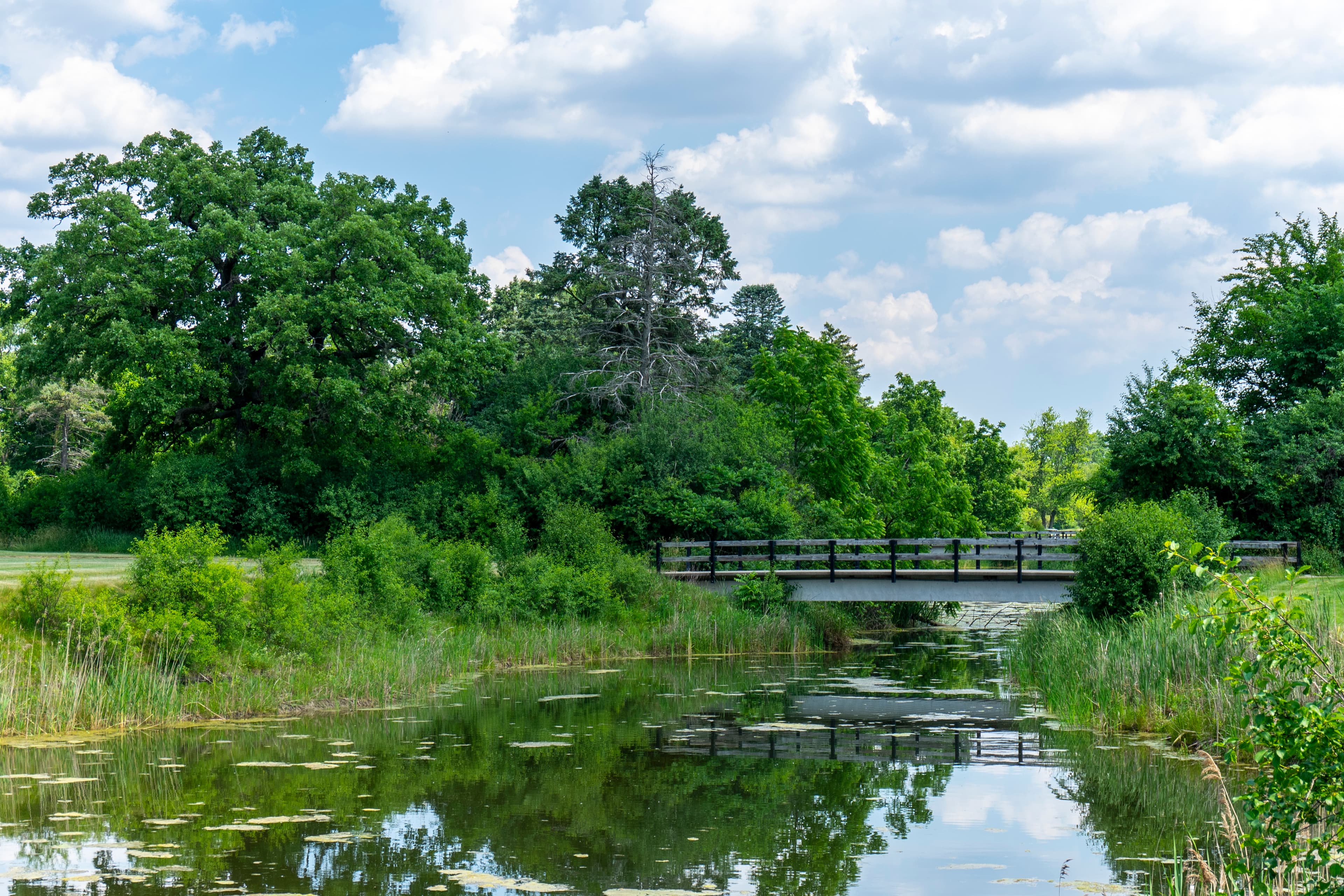Pine Meadow Golf Club - Image 7