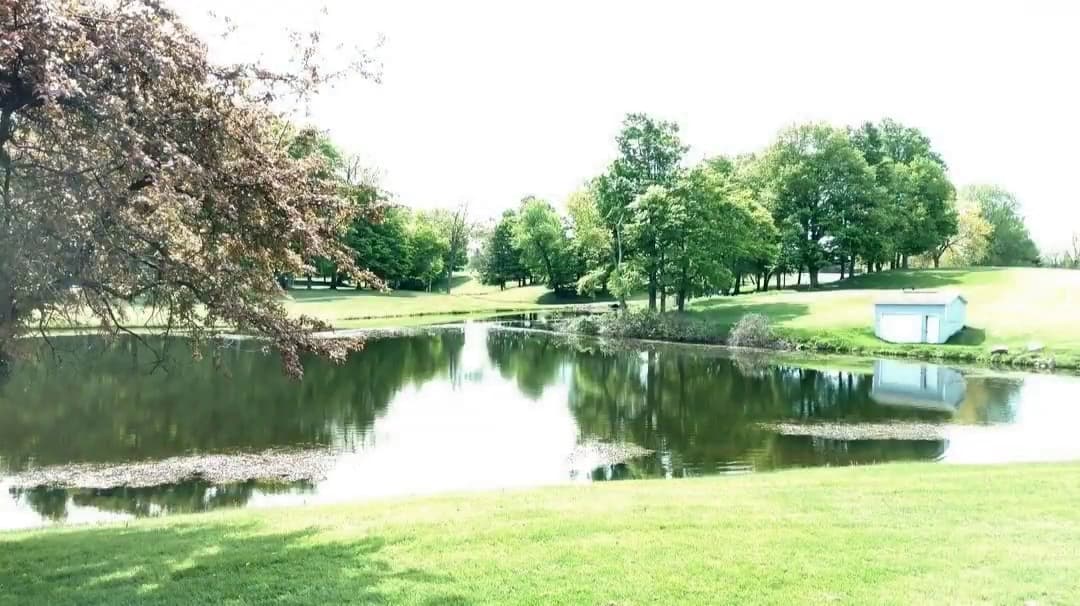 Webster Golf Club + The Indoor Links - Image 2