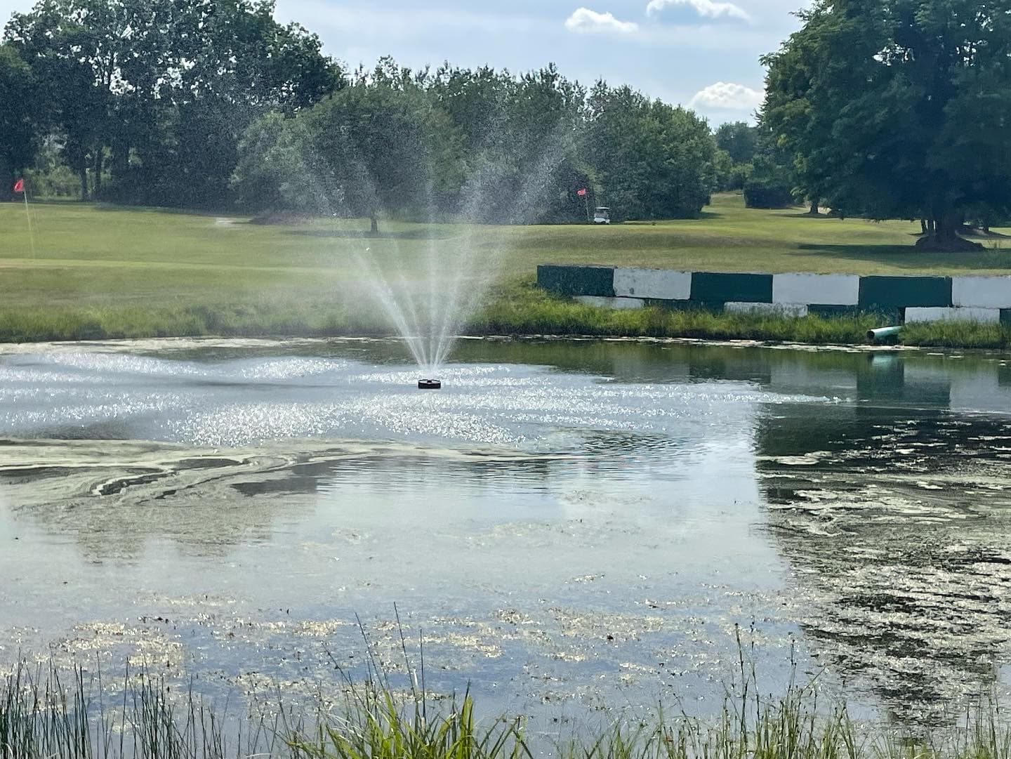 All About Golf - Image 2