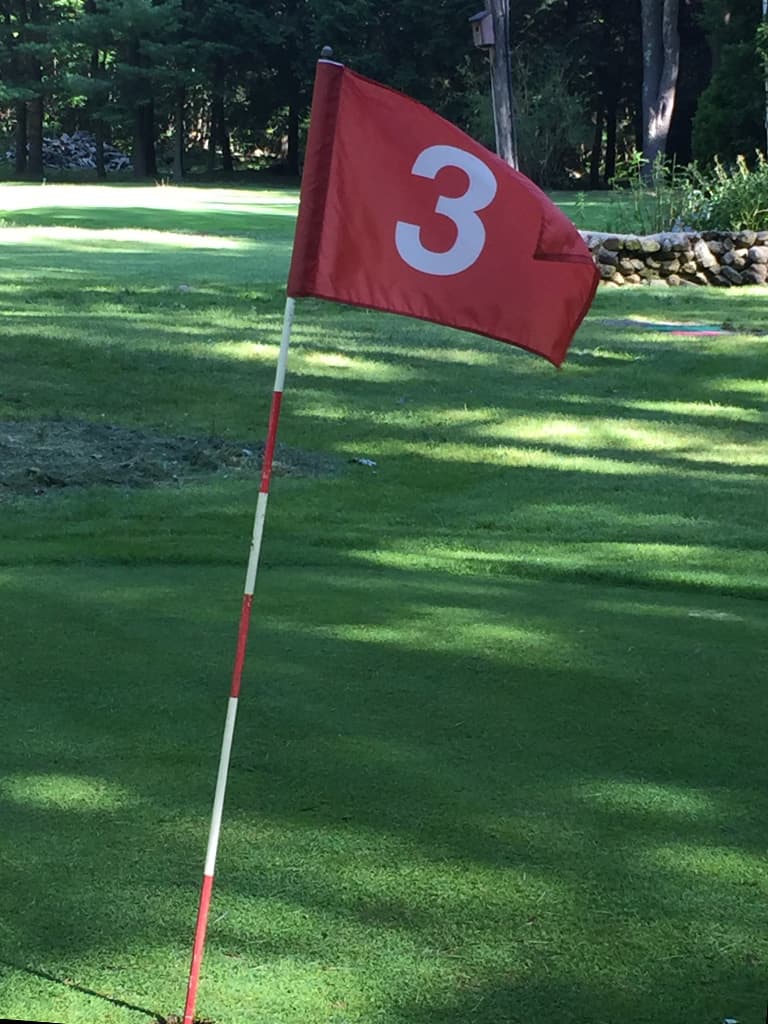 Pine Hollow Little Par 3 Golf - Image 4