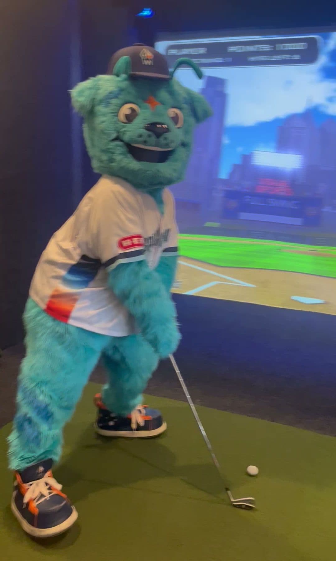 Home Run Golf - Image 3
