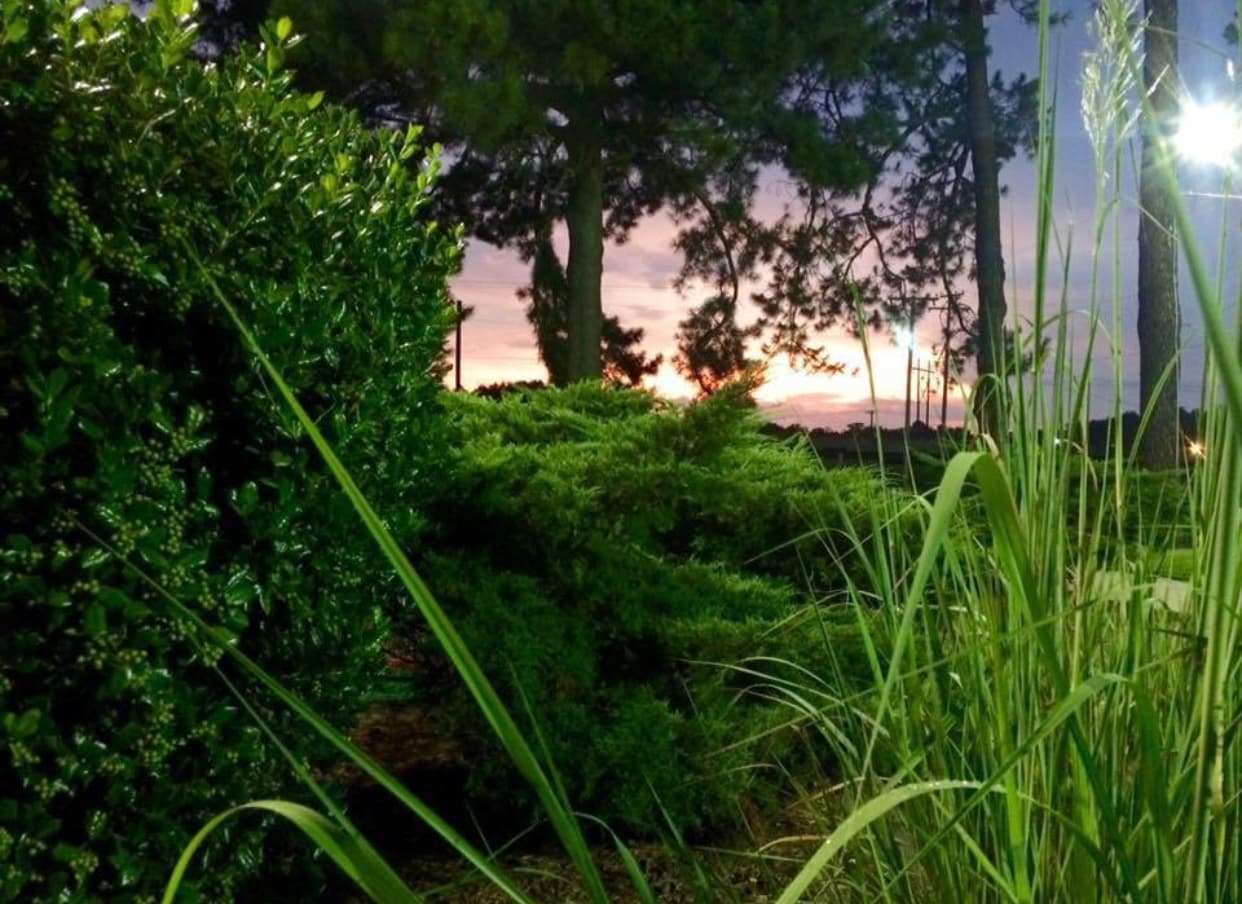 Golf World - Image 9