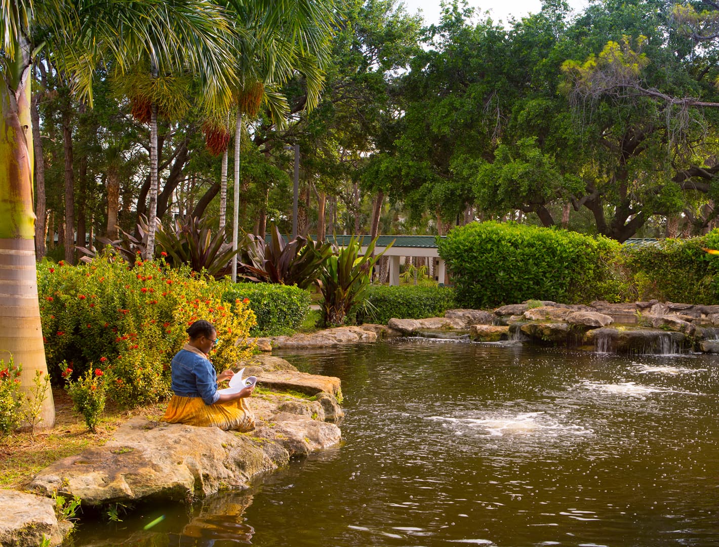 Palm Beach State College - Image 4