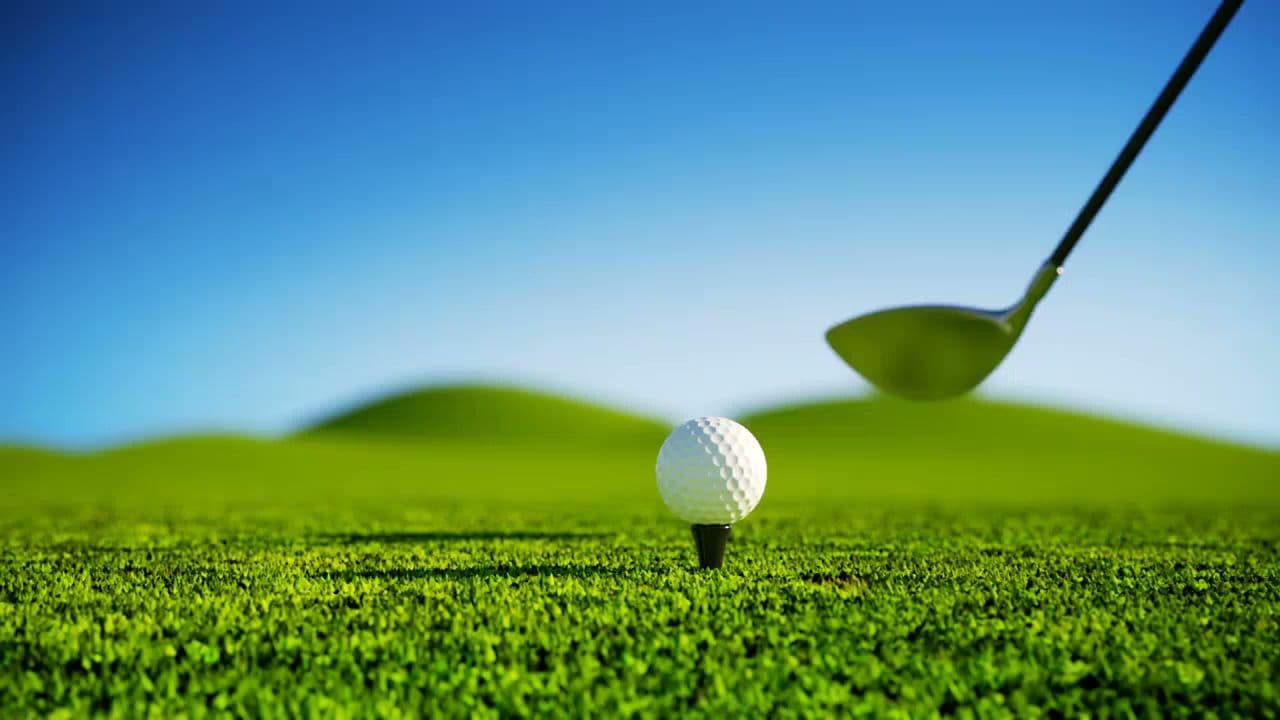 Precision Sports - Image 9