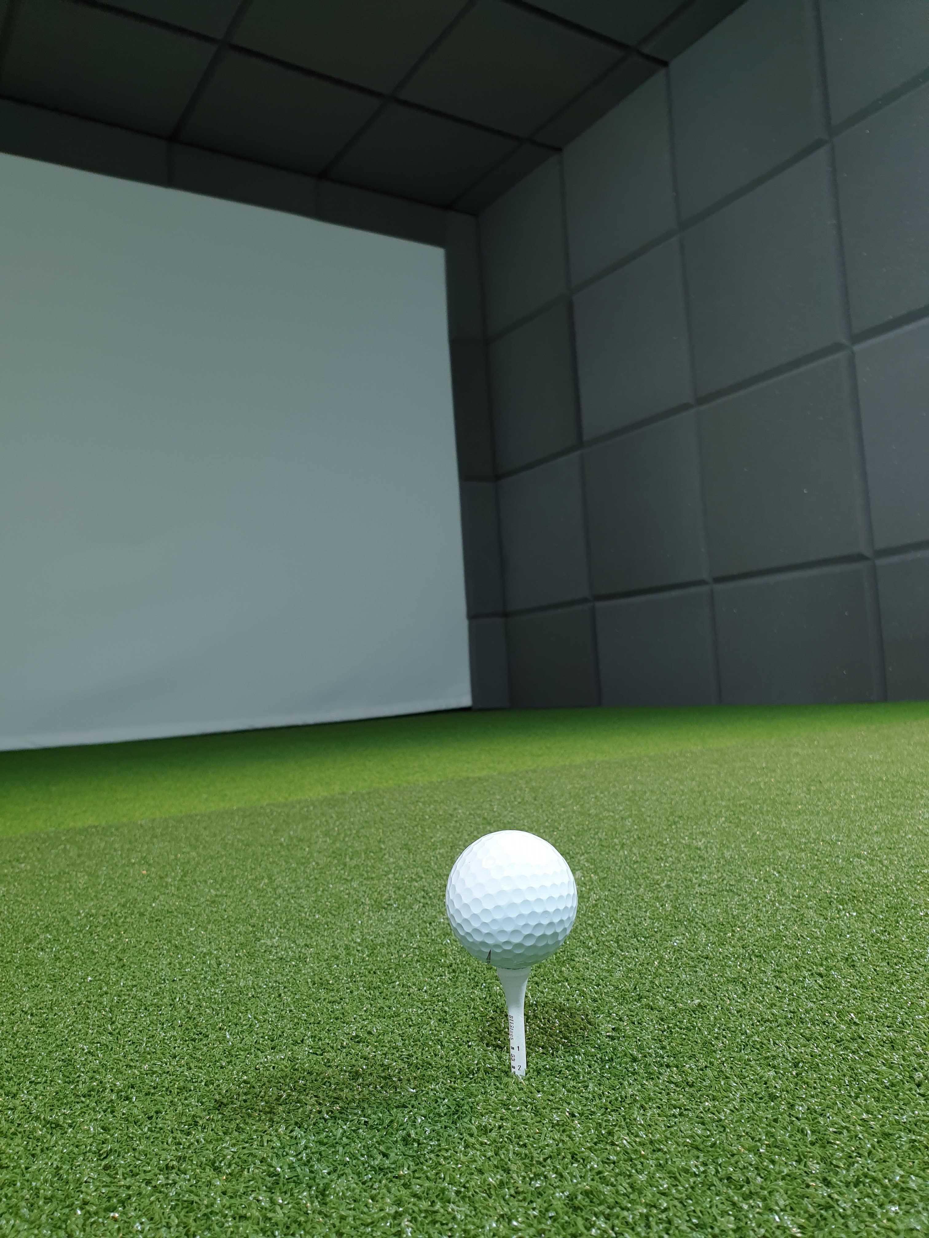 Next Level Golf - Image 3