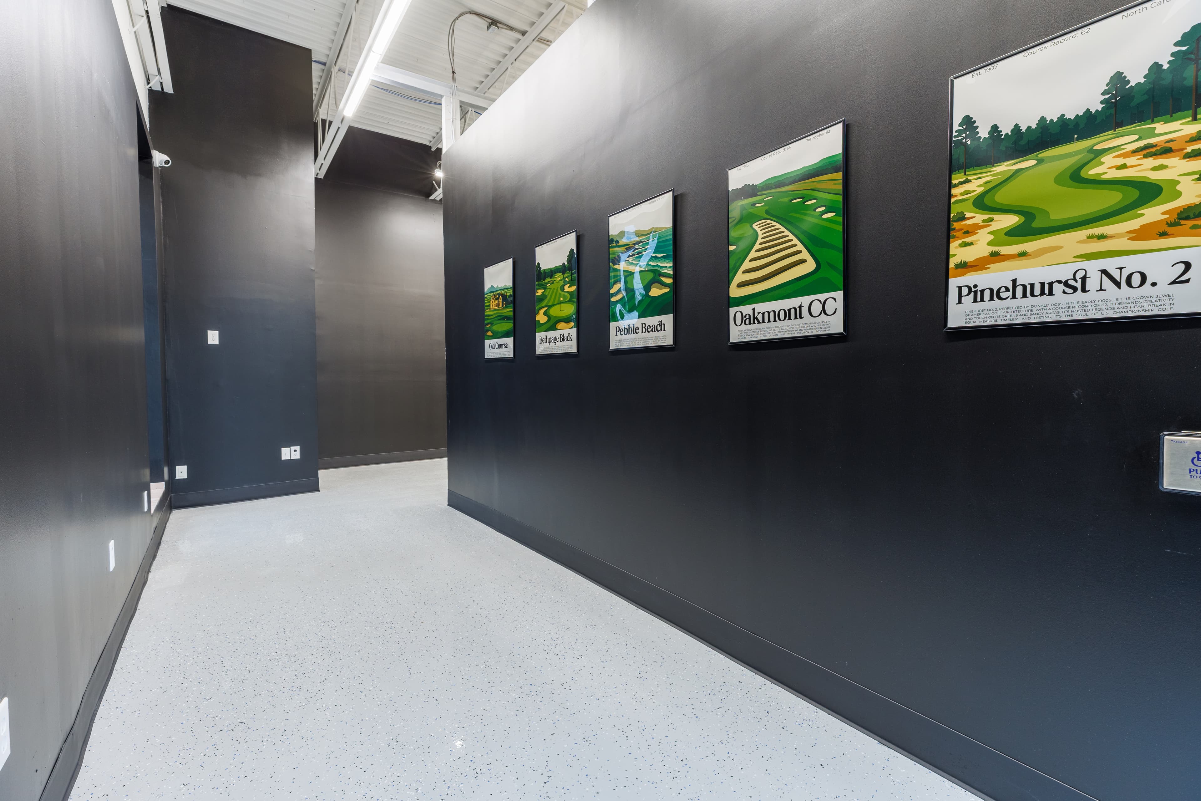 Doctor Golf Indoor Simulator - Image 10