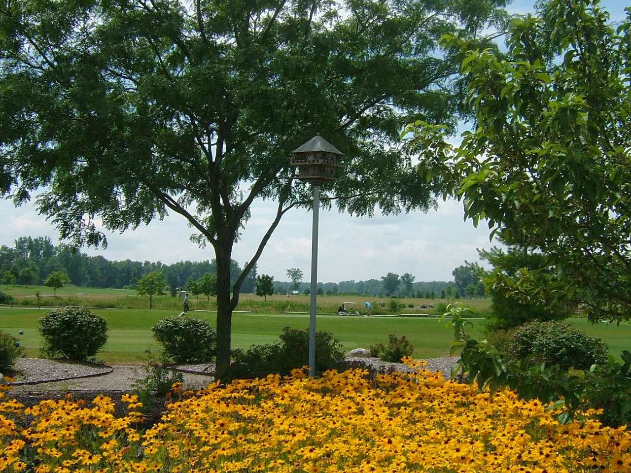 Sandy Creek Golf Course - Image 3