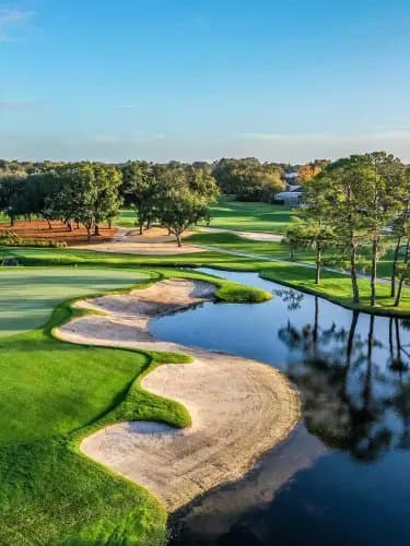 Fore Real 24 - Image 10