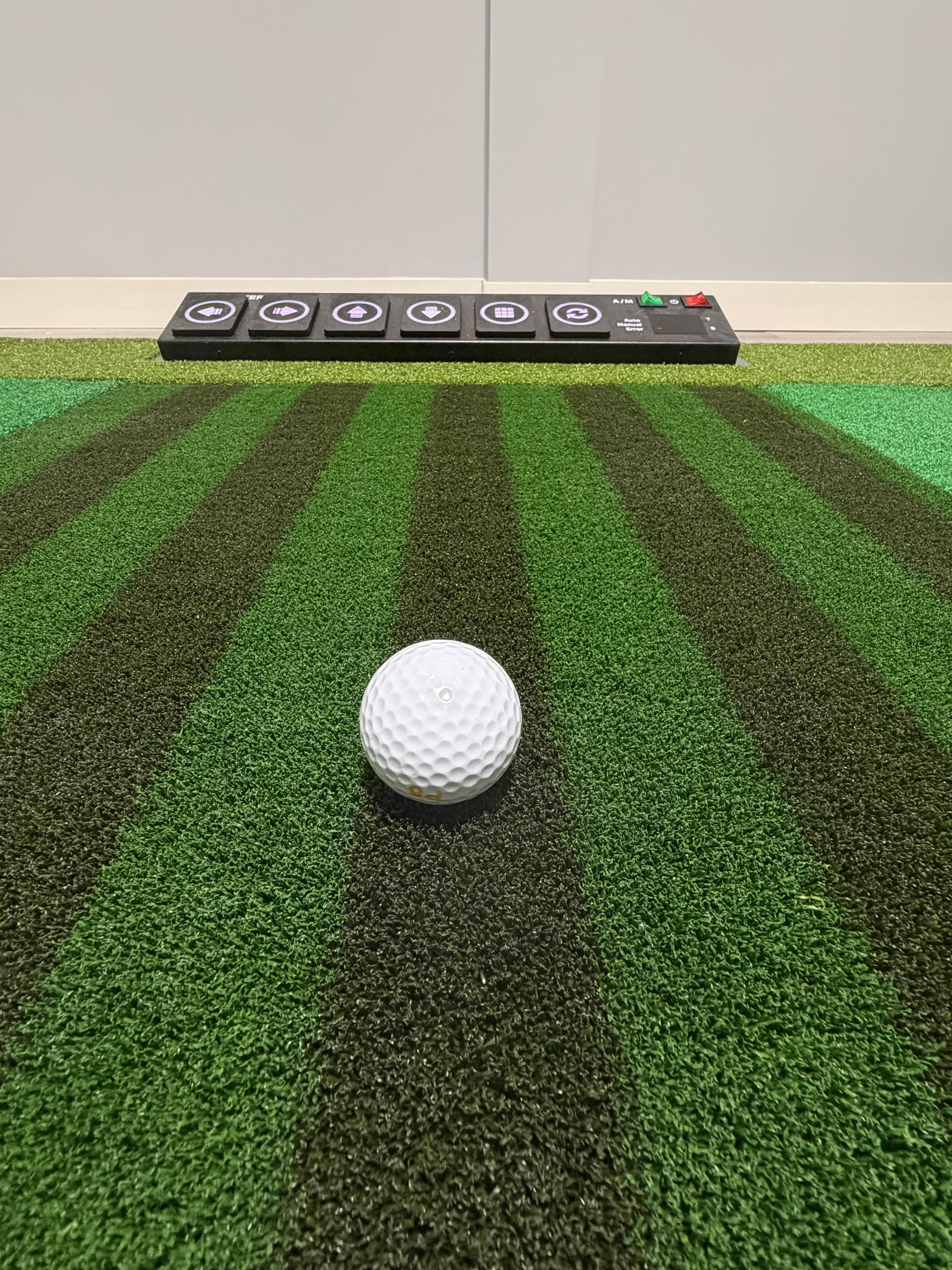 MapleSwing Indoor Golf - Image 9