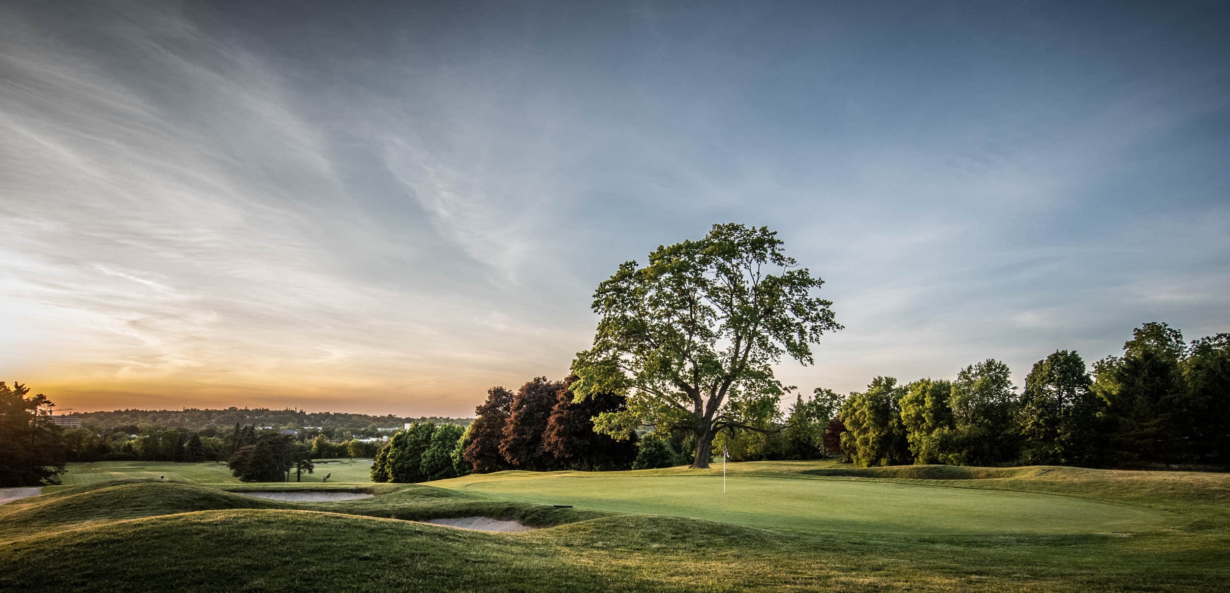 Cutten Fields - Image 1