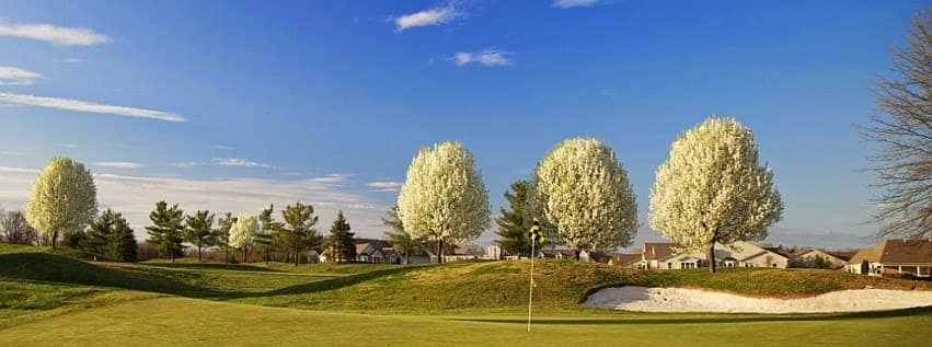 Linfield National Golf Club - Image 2