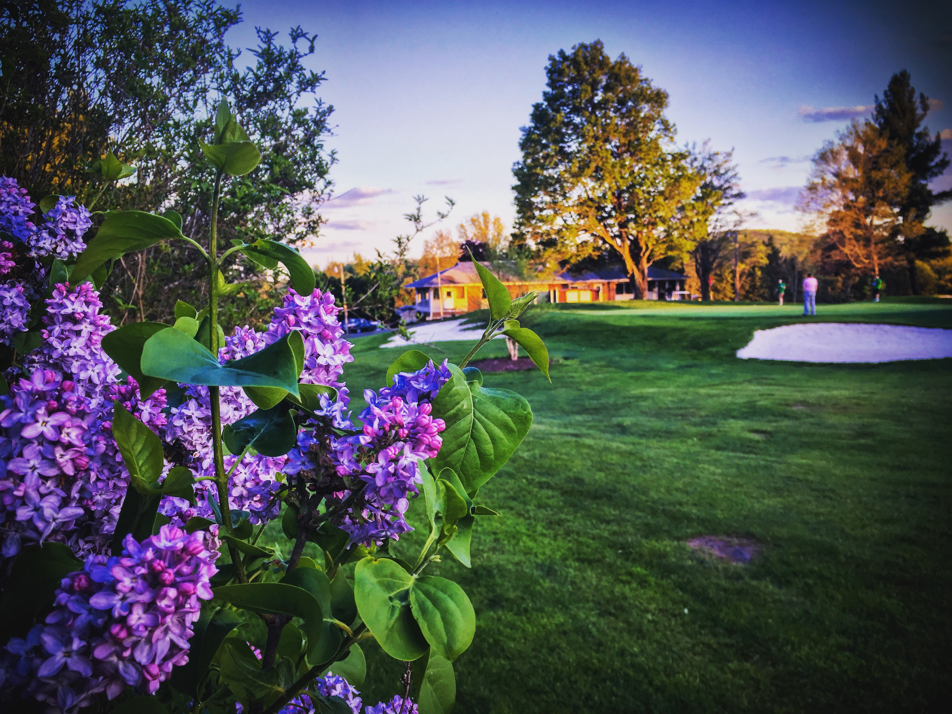 Honesdale Golf Club - Image 5