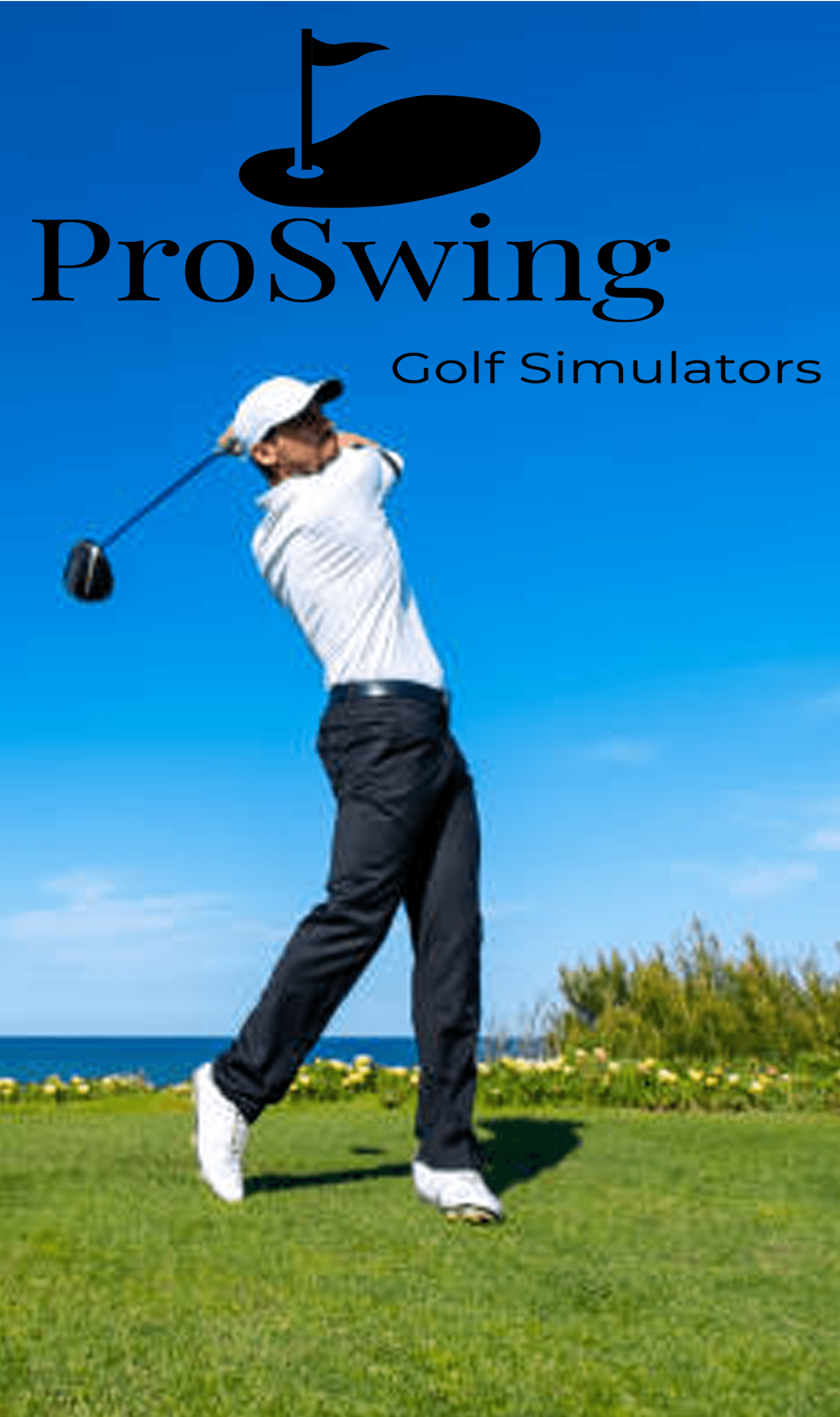 Pro Swing - Image 2