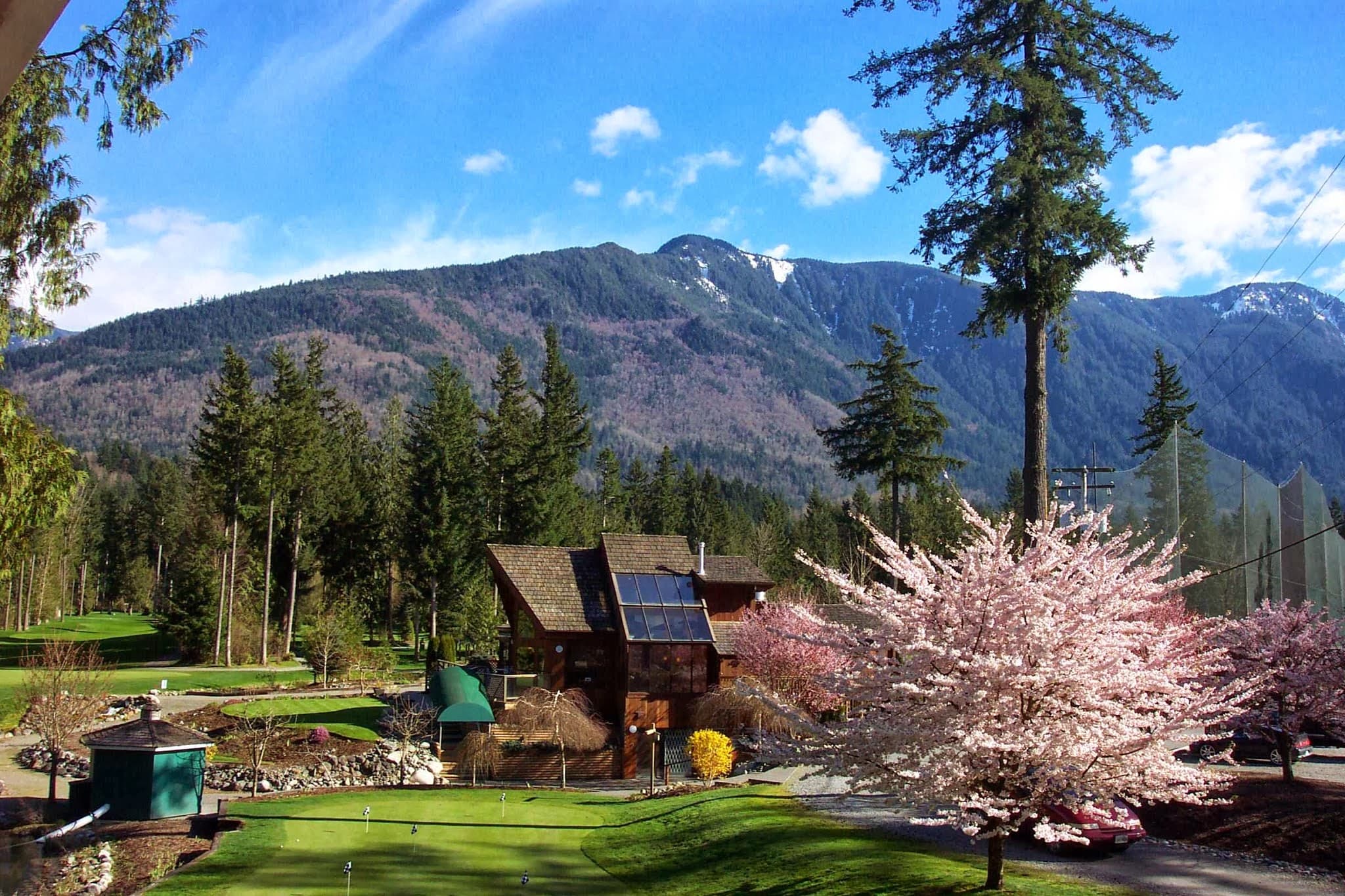 Tap-Ins Putting Course - Image 6