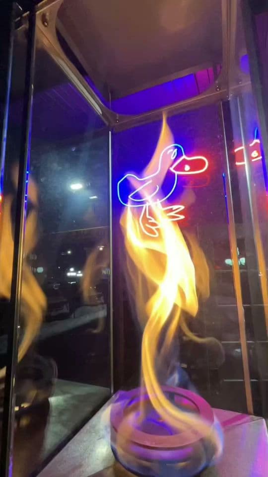 The Blue Duck - Image 8