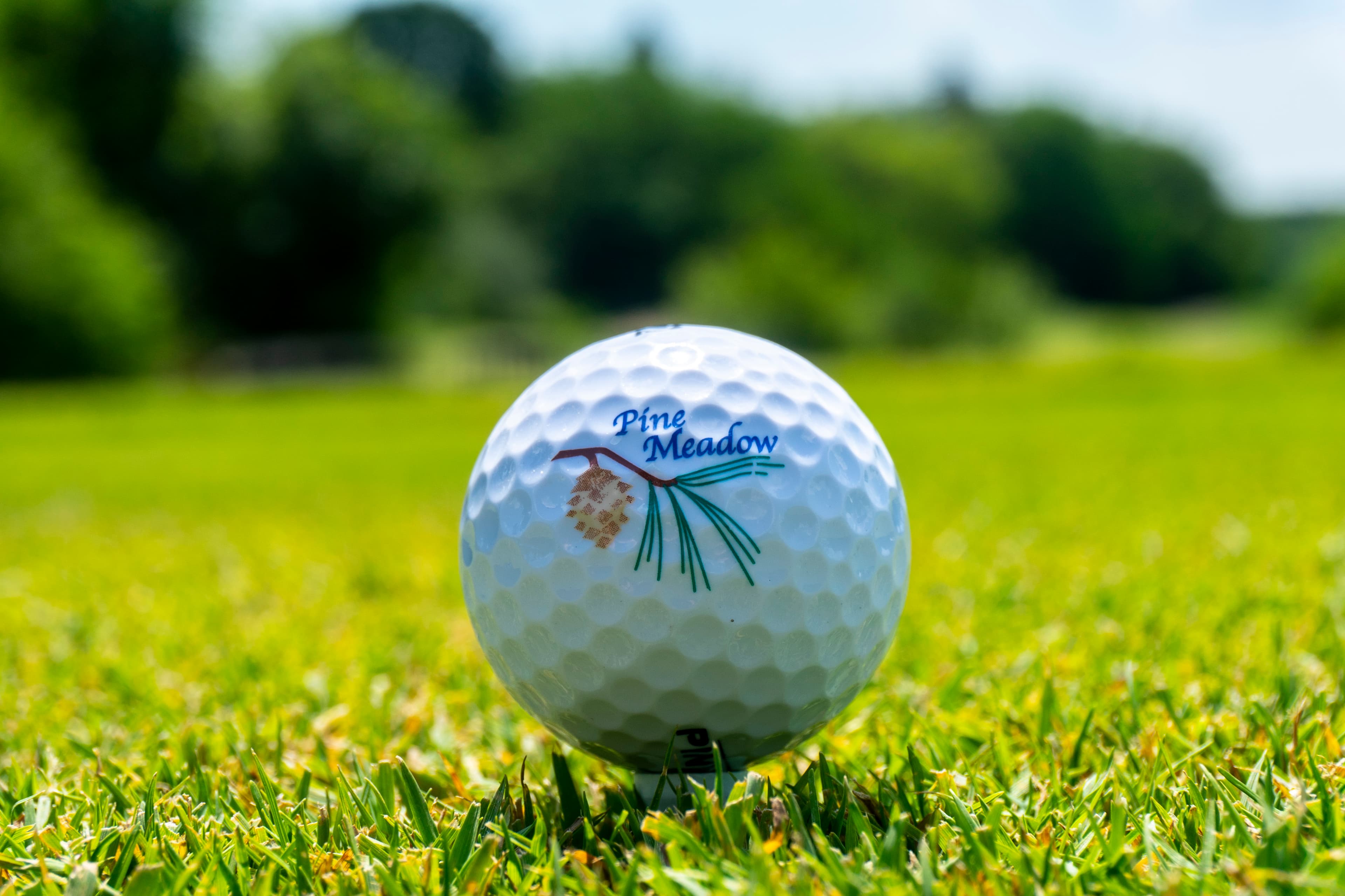 Pine Meadow Golf Club - Image 8