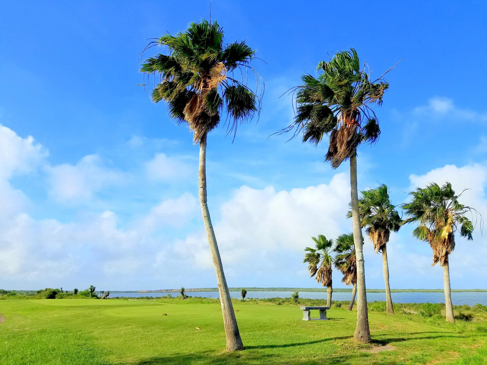 South Padre Island Golf Club - Image 10