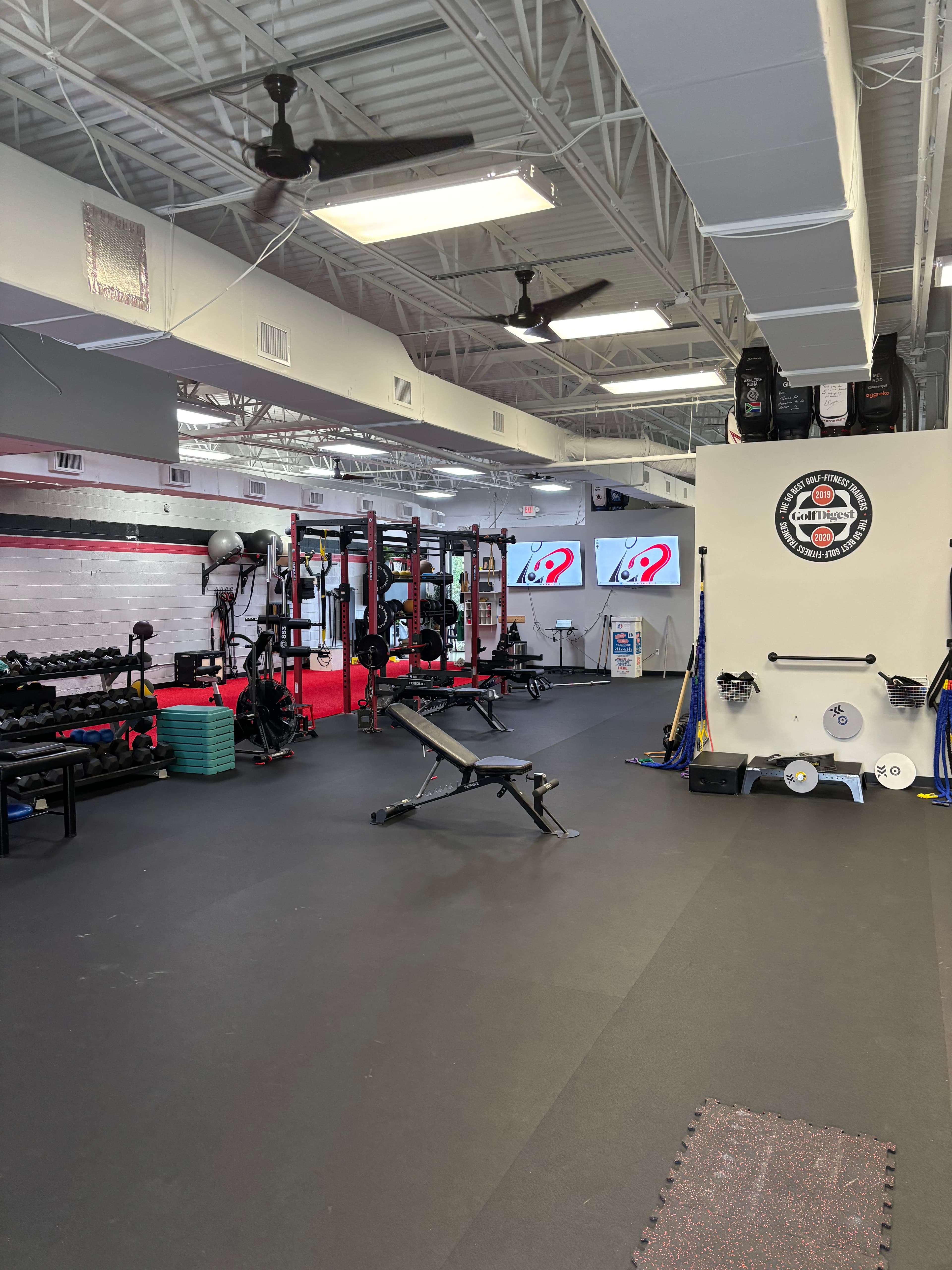 Lifetime Performance - Image 2