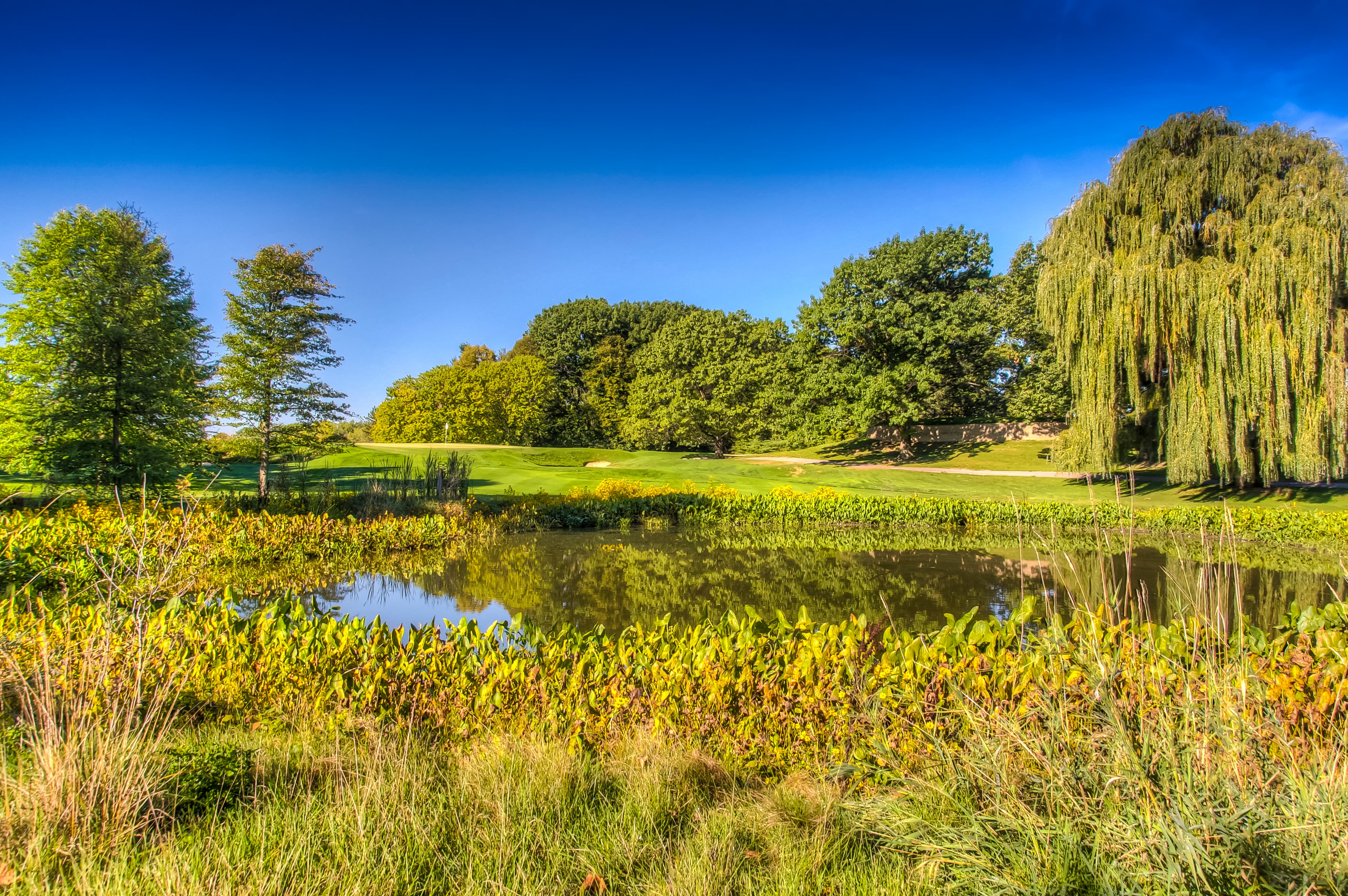Forest Akers East Golf Course - Image 10