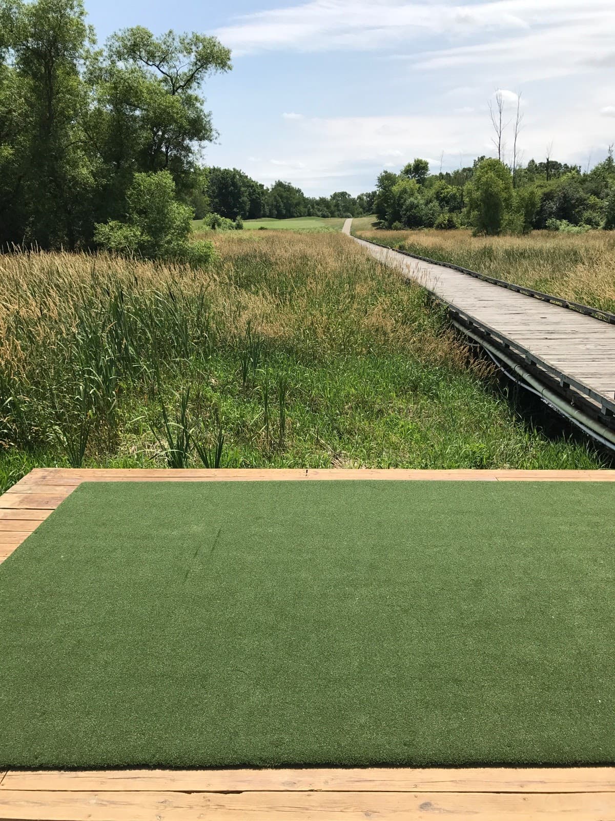 Whitmore Lake Golf Links - Image 6