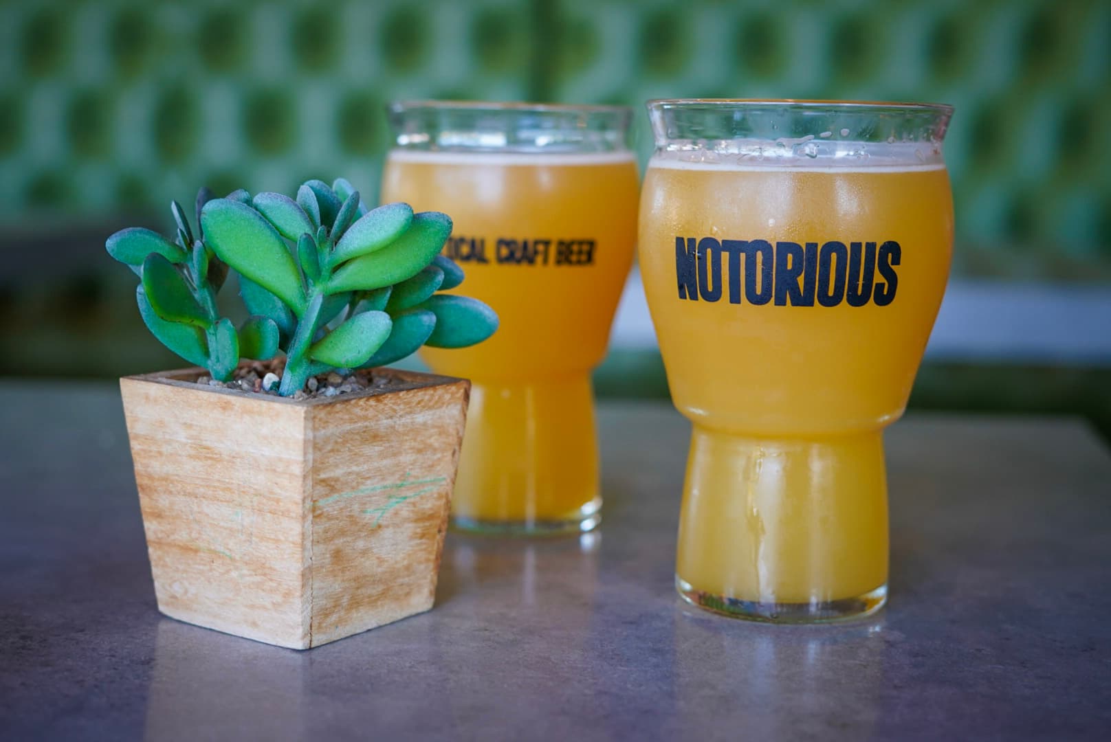 NOTORIOUS SPORTS BAR & GRILL - Image 9