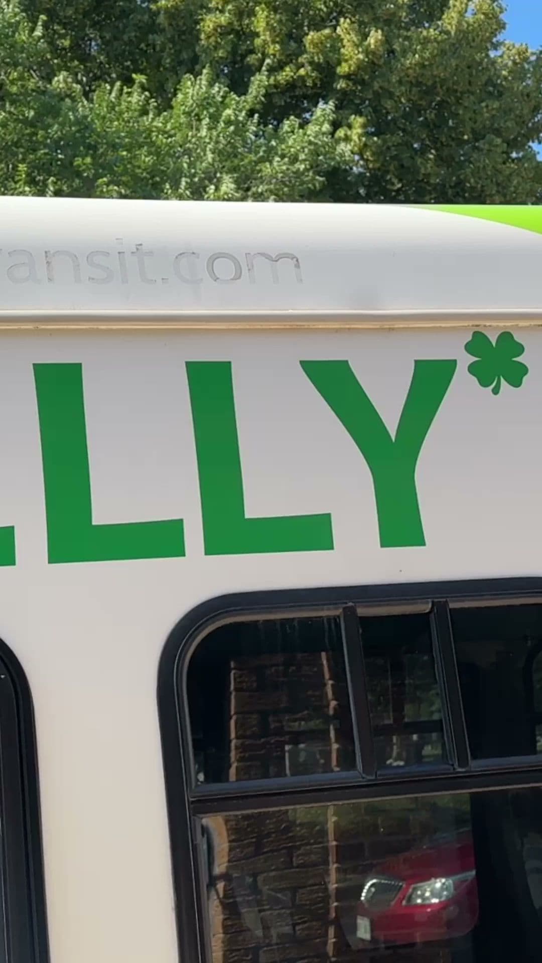 Kelly's Bleachers - Image 2