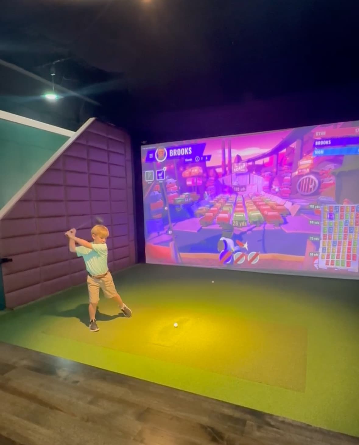 Indoor Birdies - Image 6