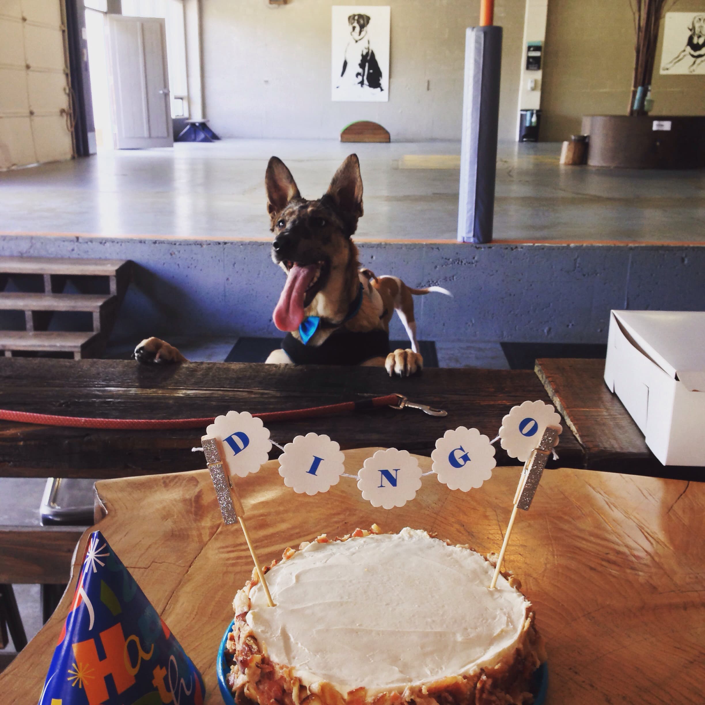 Dogwood Play Park - Image 2