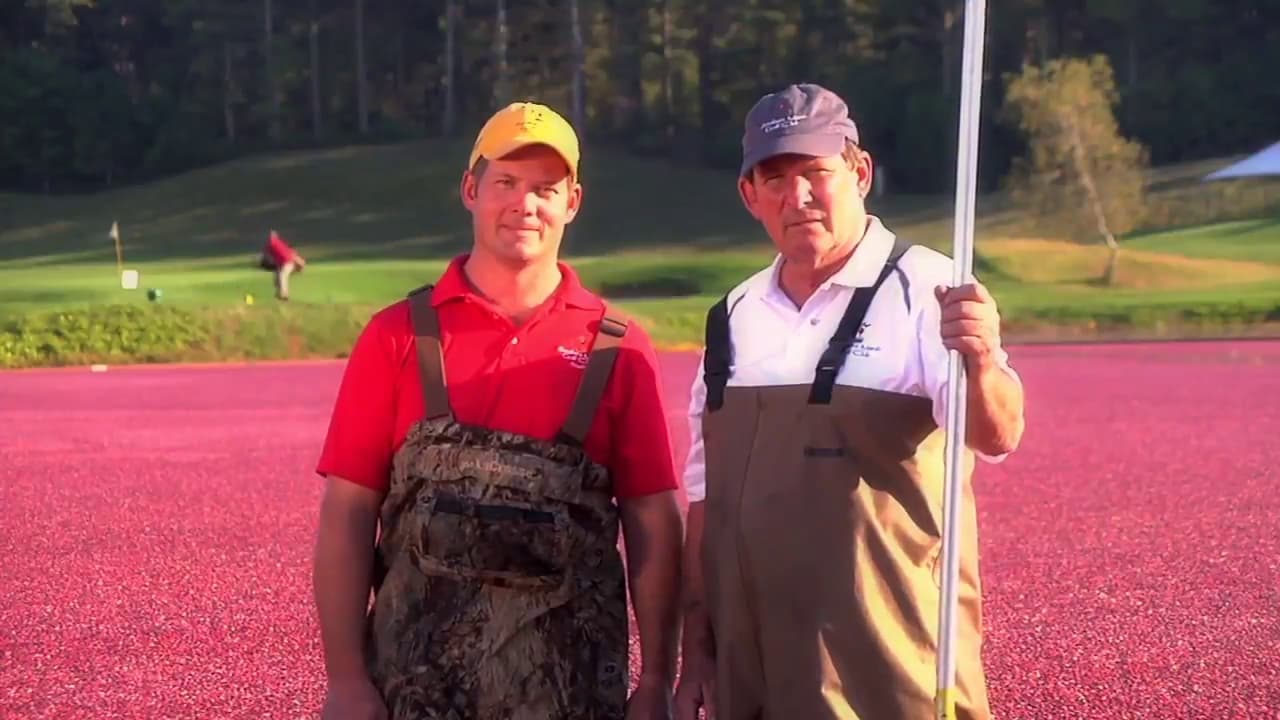 Southers Marsh Golf Club - Image 2