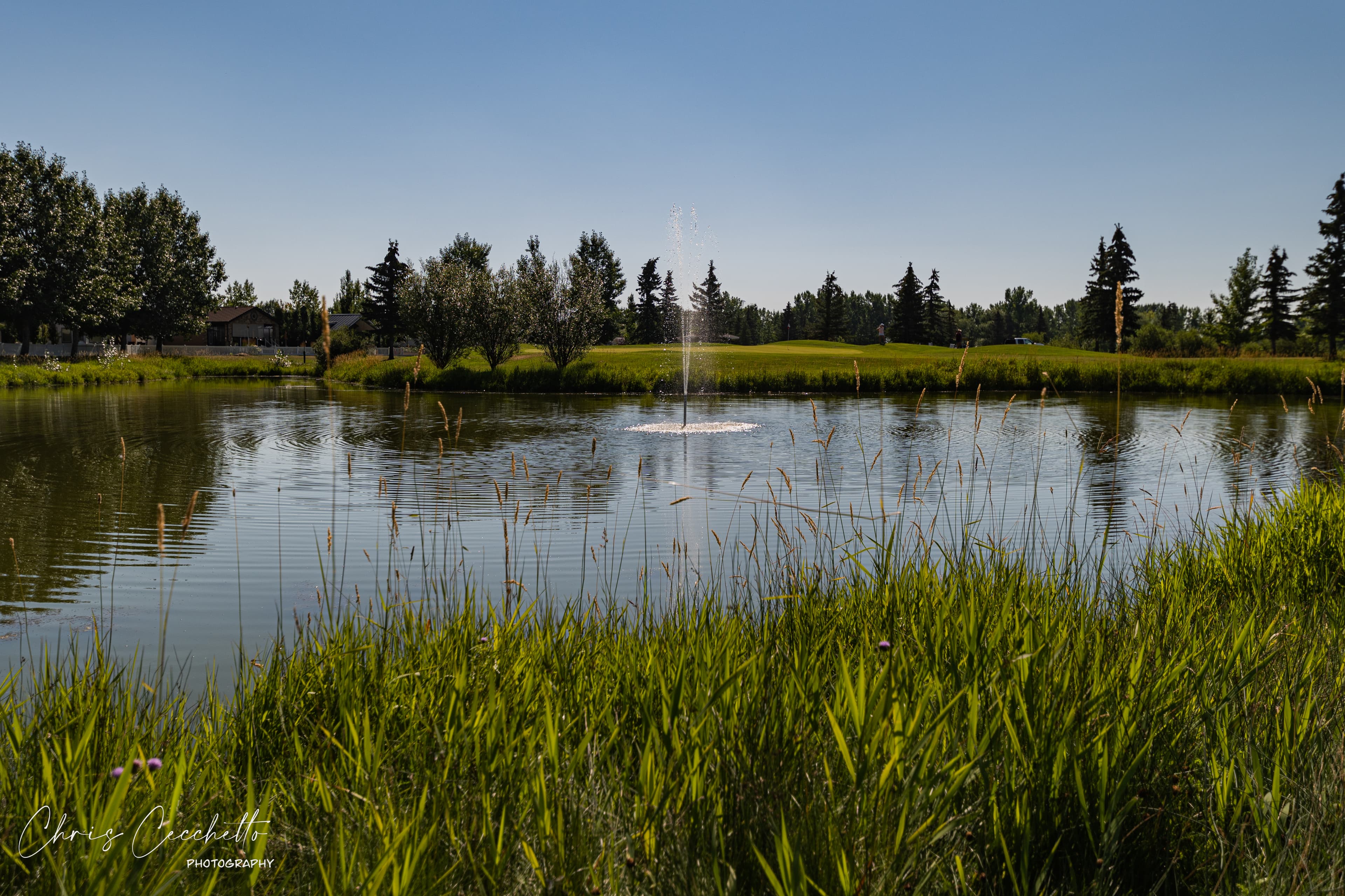 Gleniffer Lake Golf - Image 5