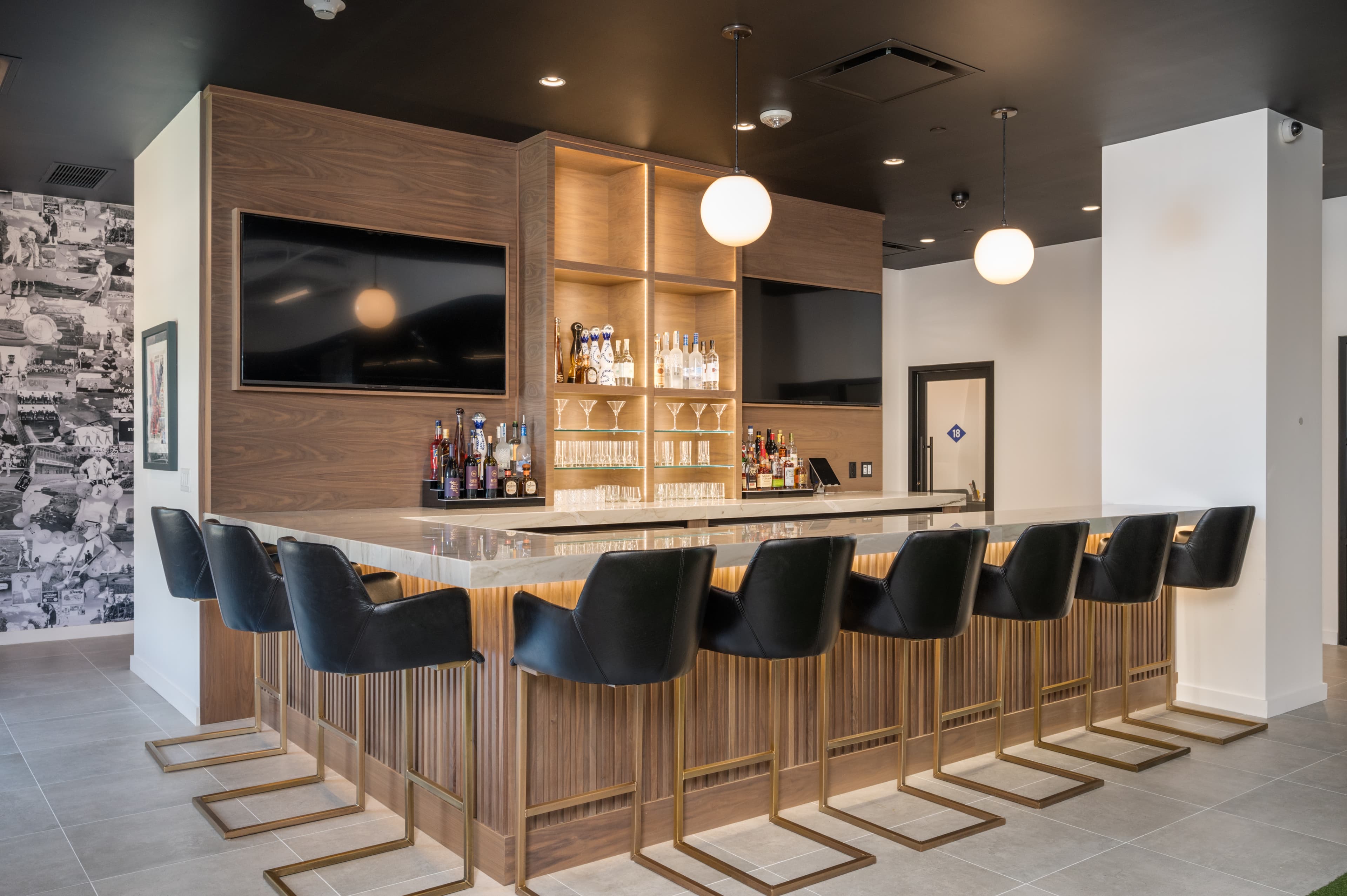 Lab 18 Golf - Image 1