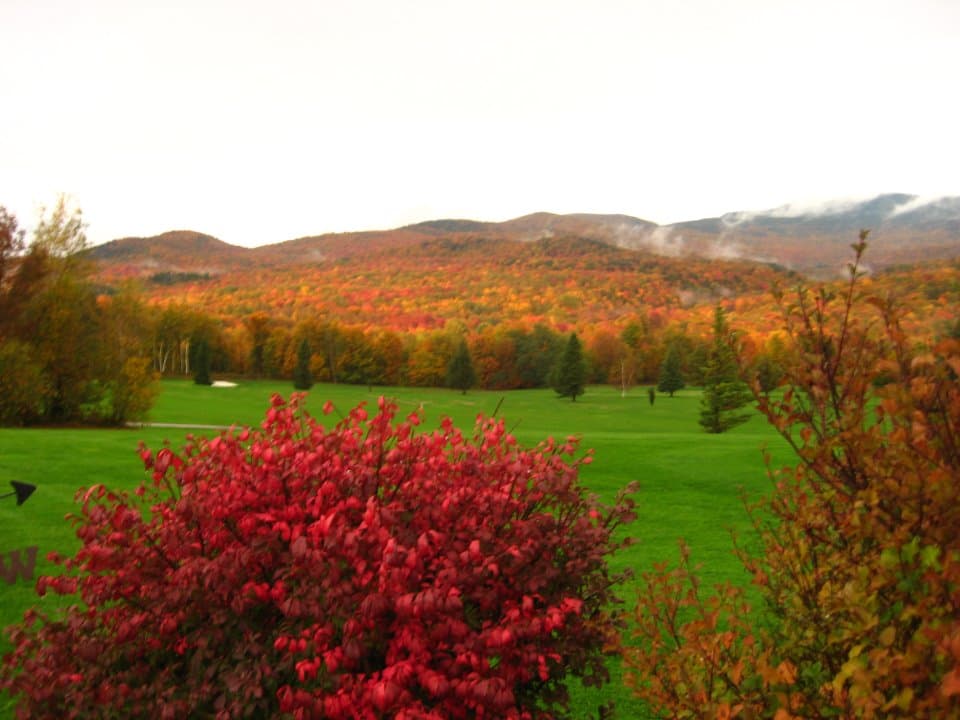 West Bolton Golf Club - Image 3